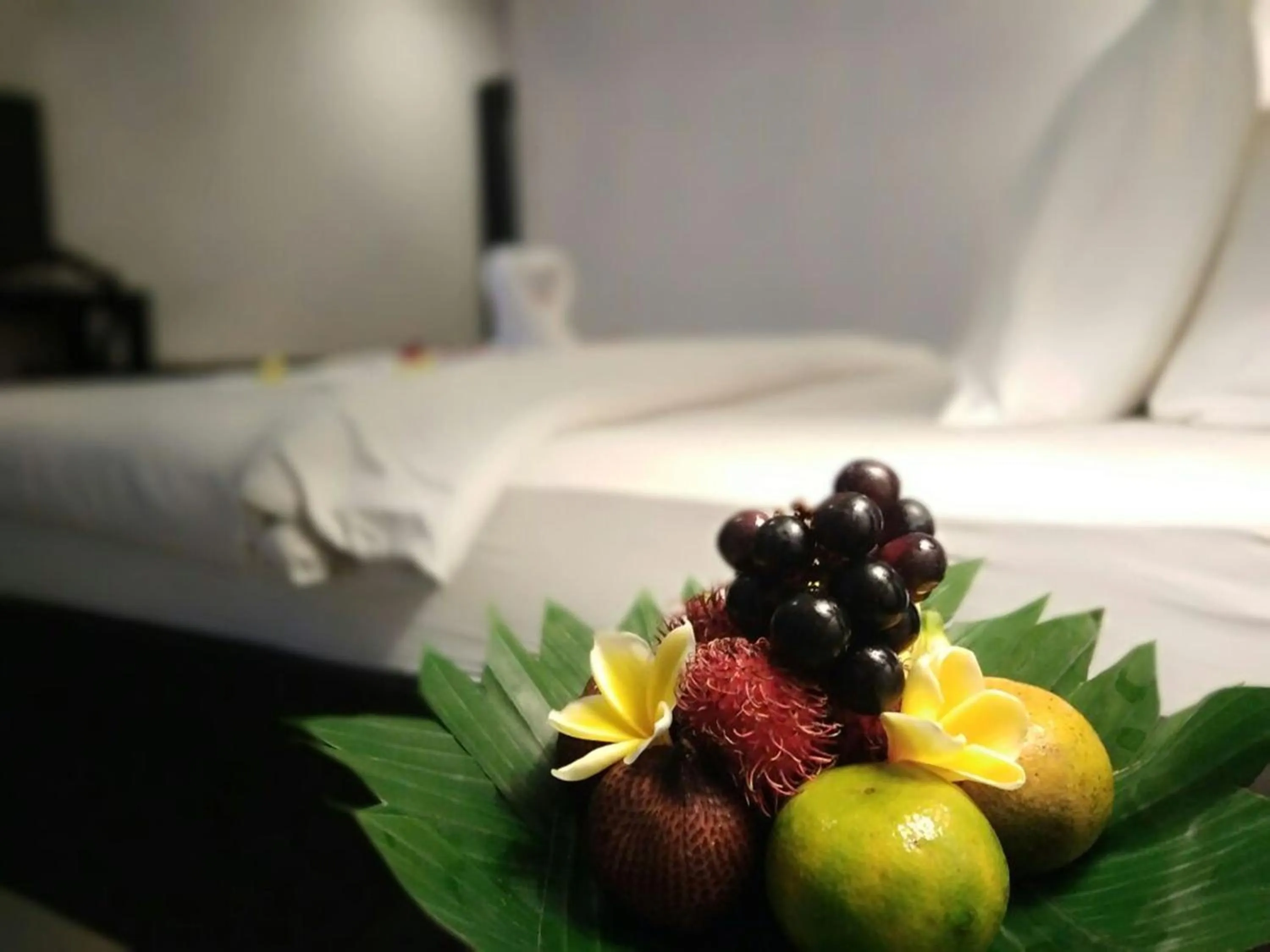 Meals, Bed in The Radiant Hotel