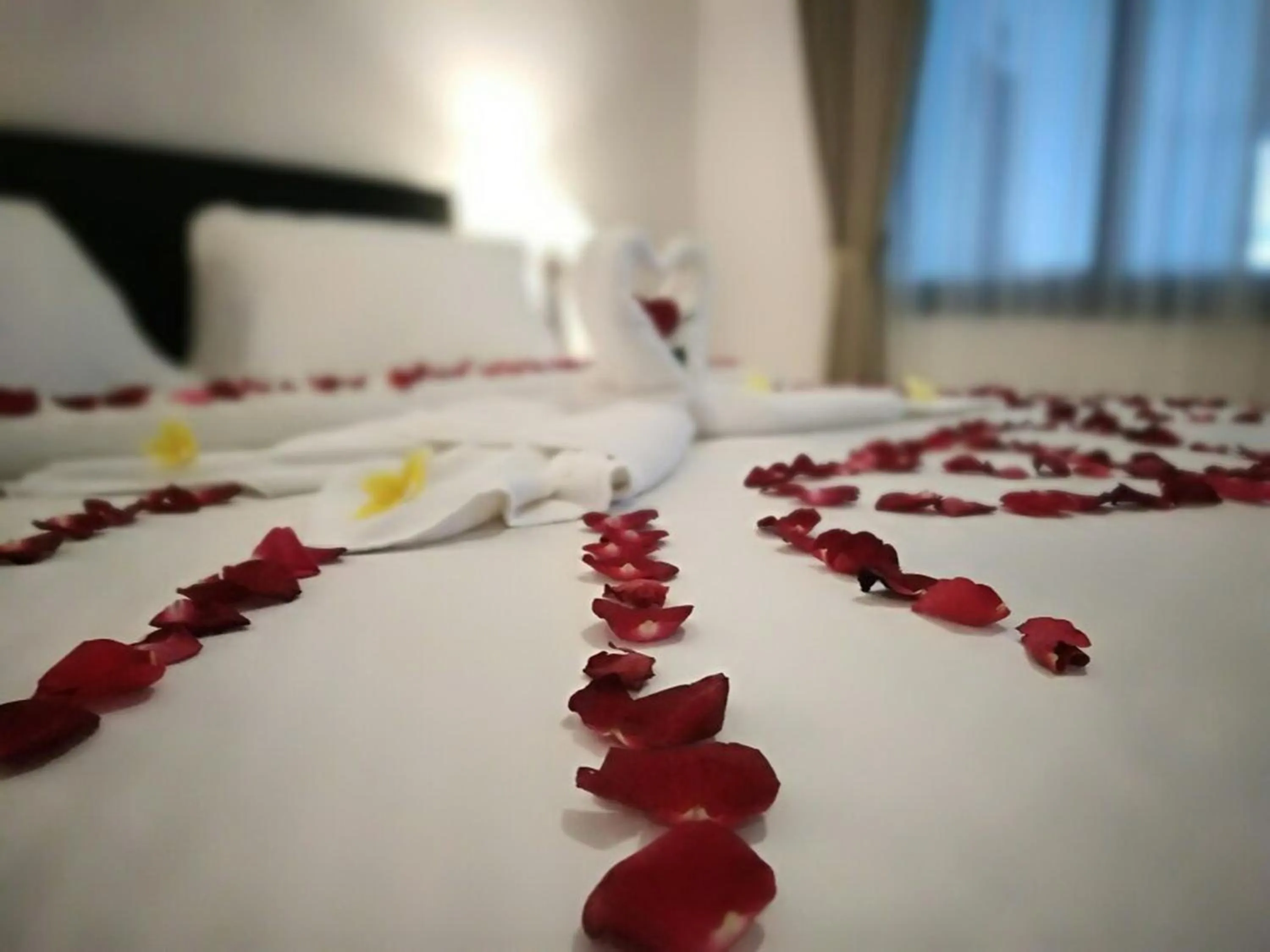 Decorative detail, Bed in The Radiant Hotel