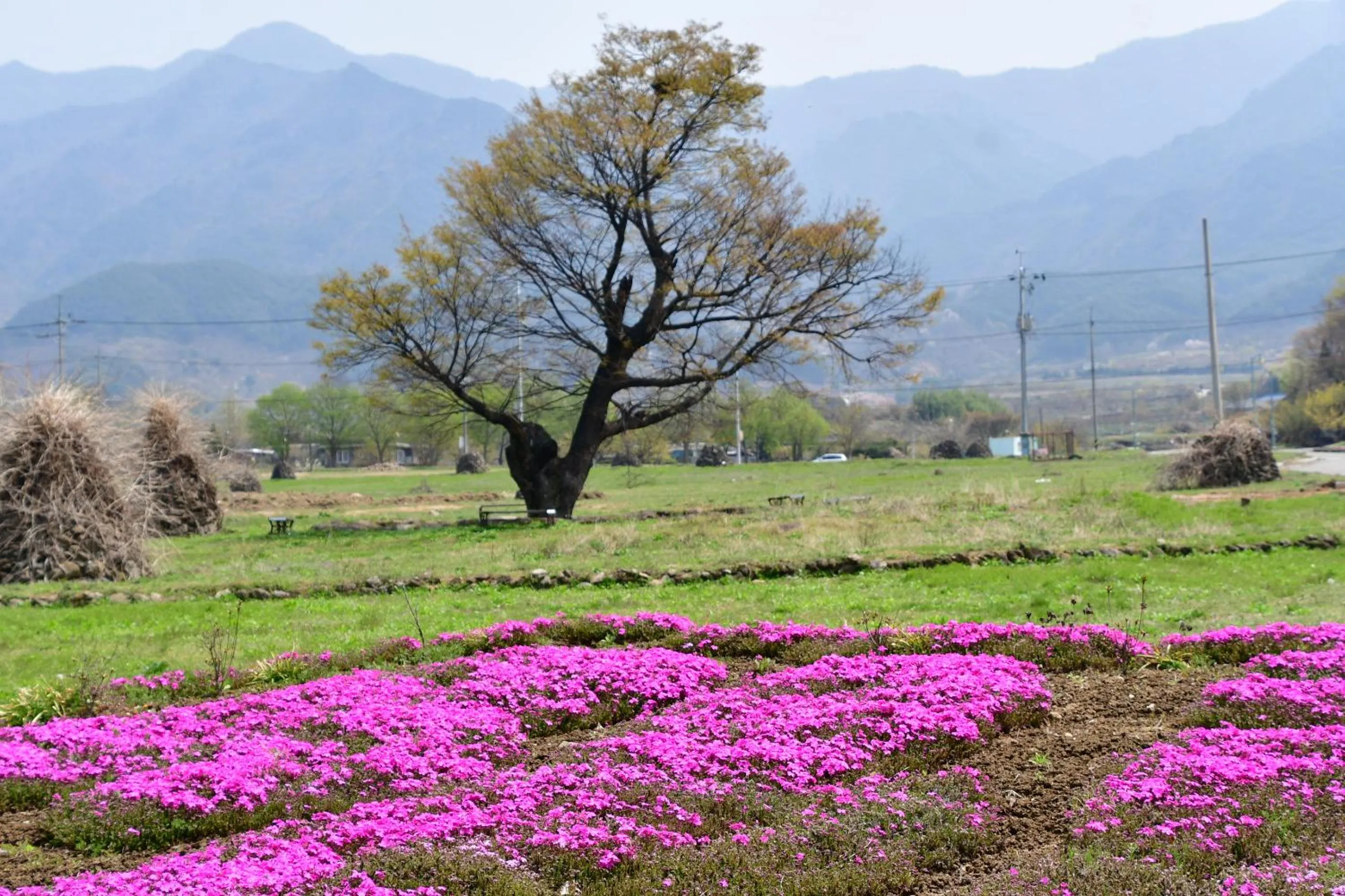 Natural landscape in Nogodan Guesthouse and Hotel