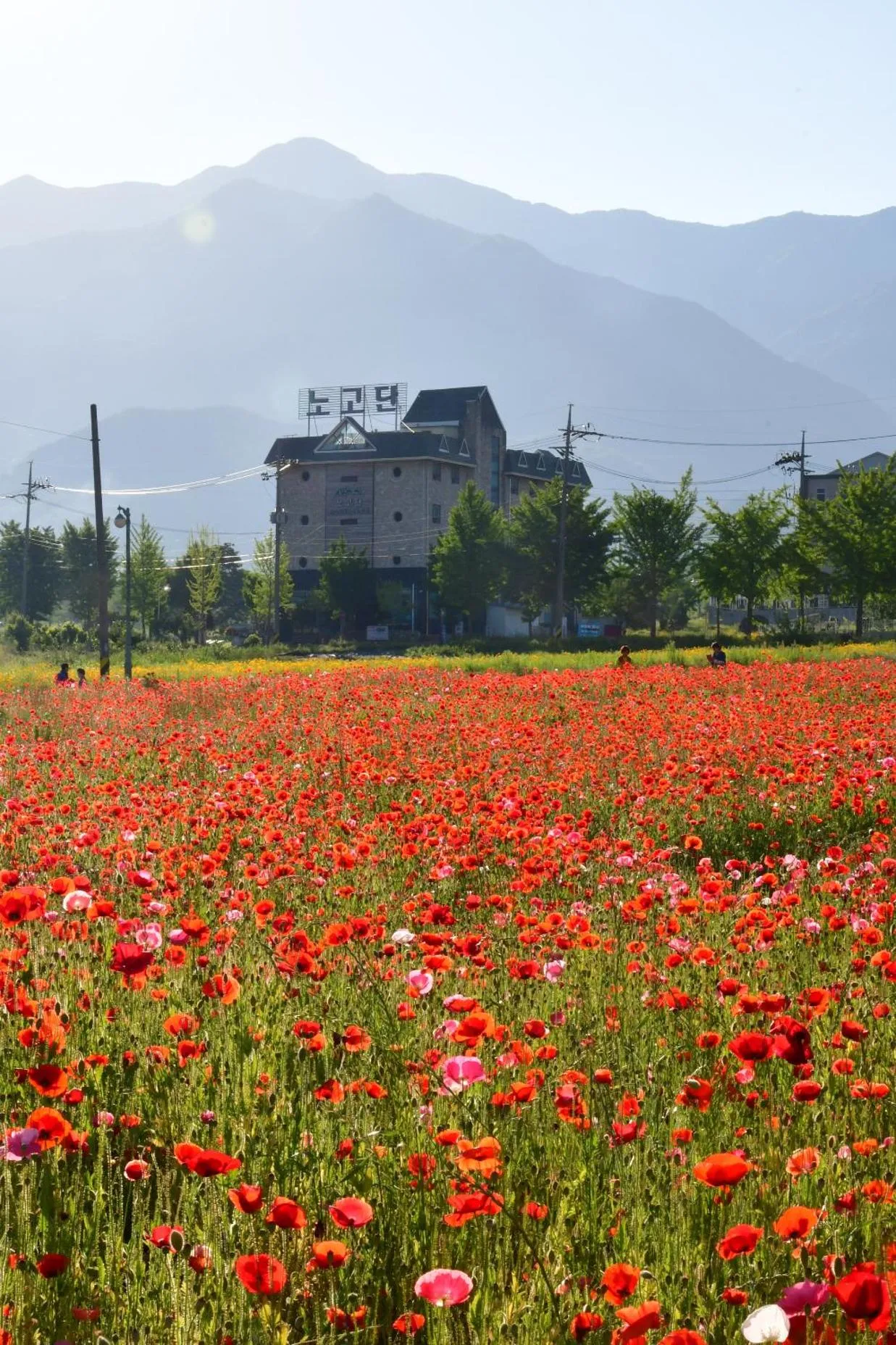 Property building in Nogodan Guesthouse and Hotel