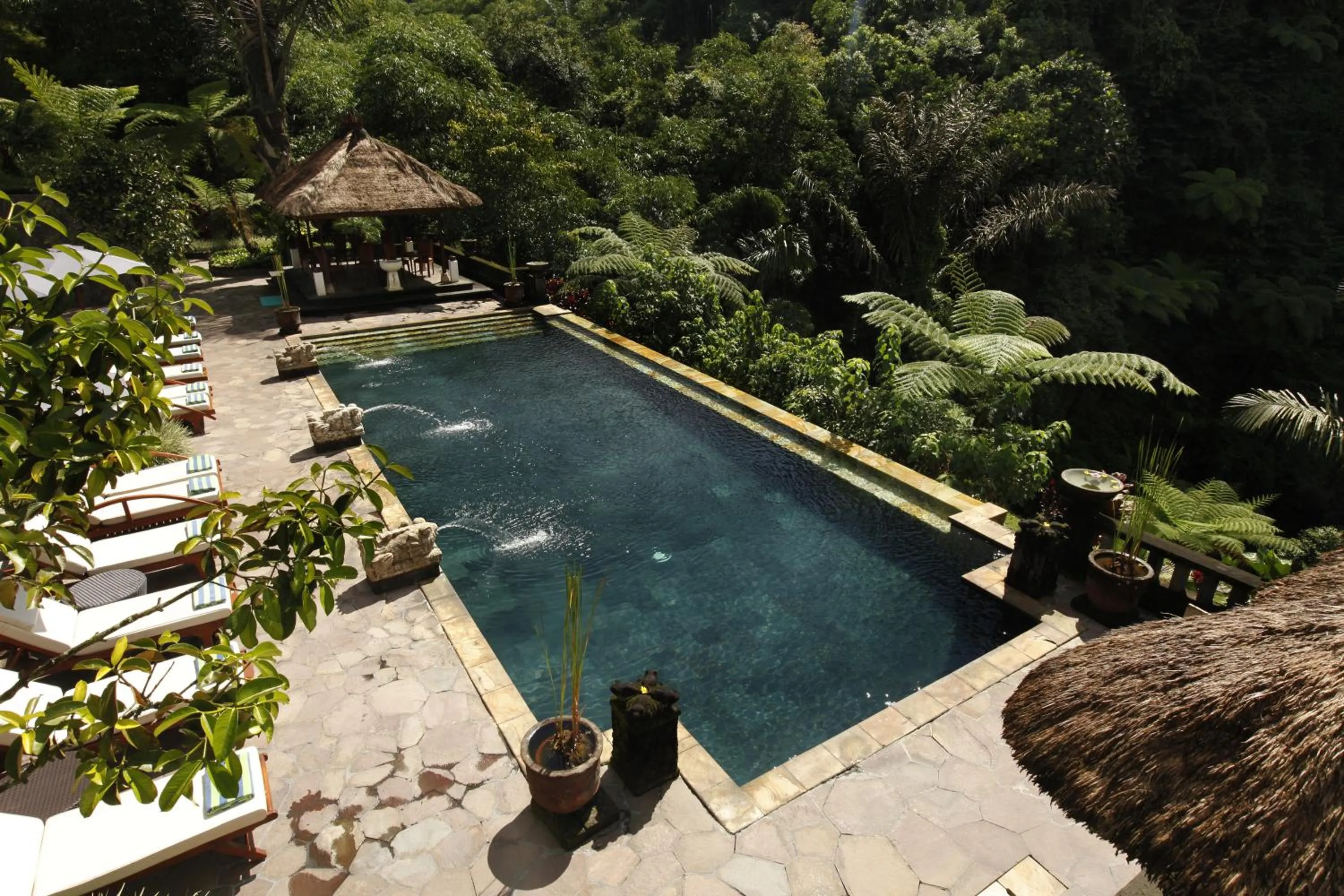 Pool view in Bagus Jati Health & Wellbeing Retreat