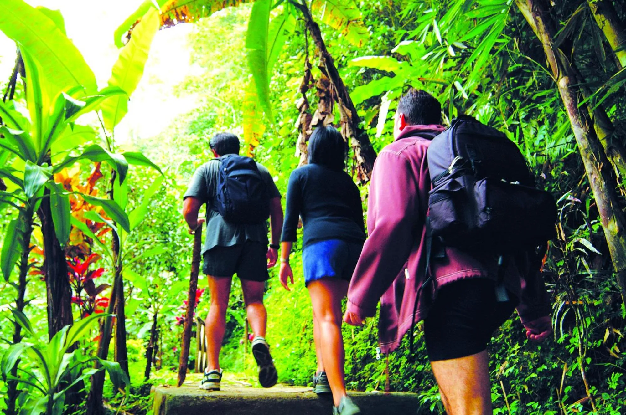 People in Bagus Jati Health & Wellbeing Retreat