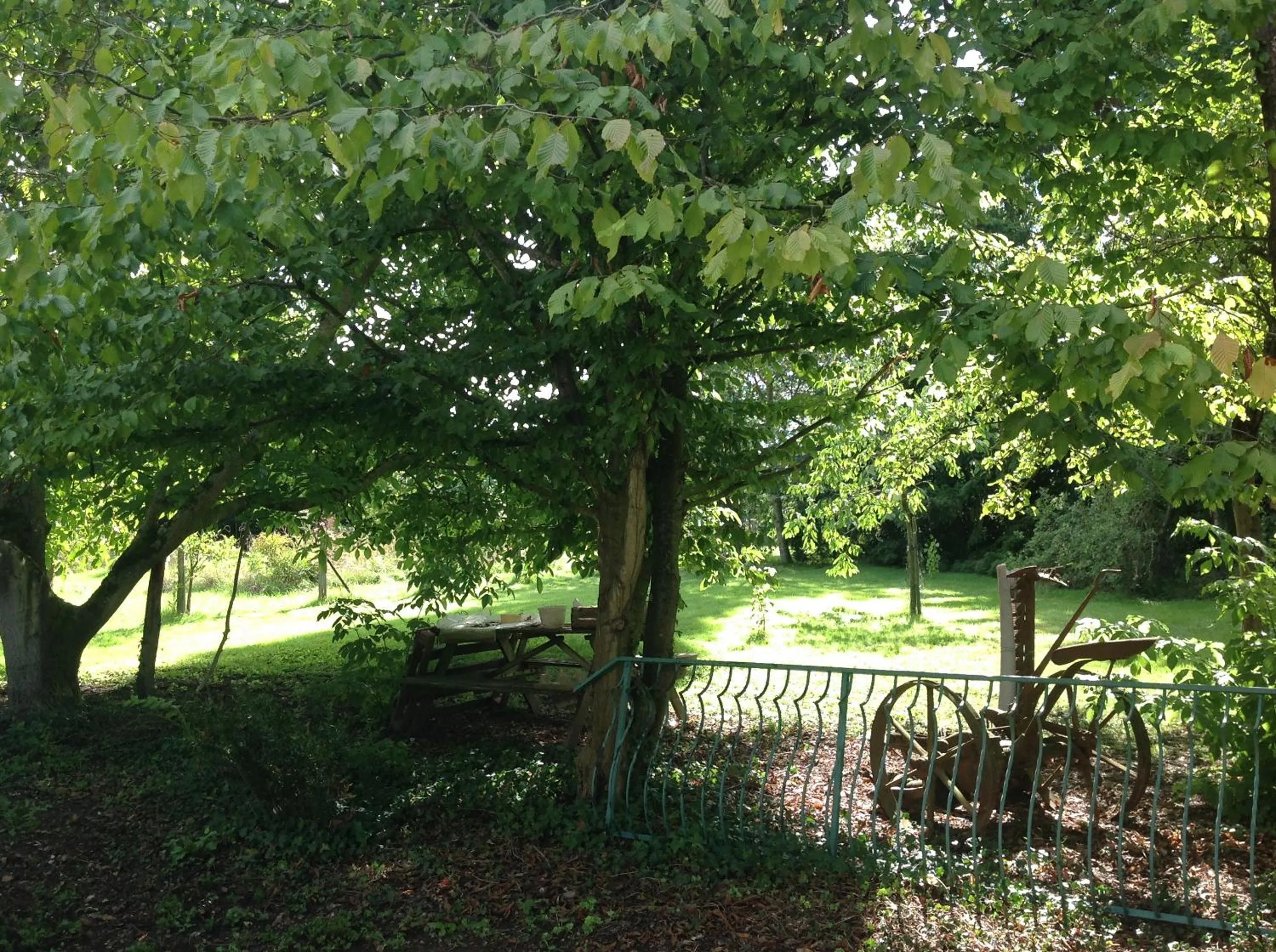 View (from property/room) in La Maison du Verger