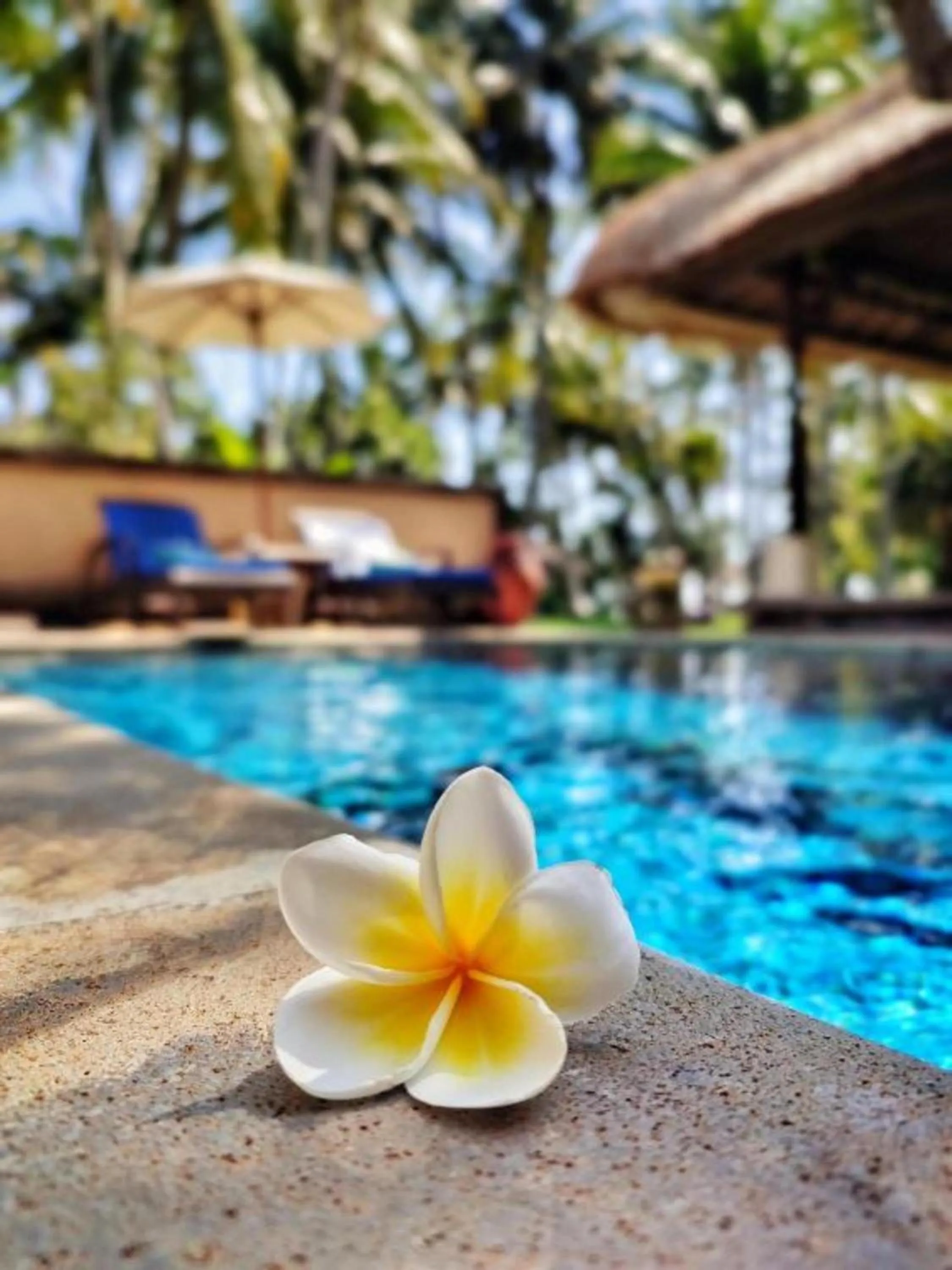 Swimming pool in Puri Bagus Lovina