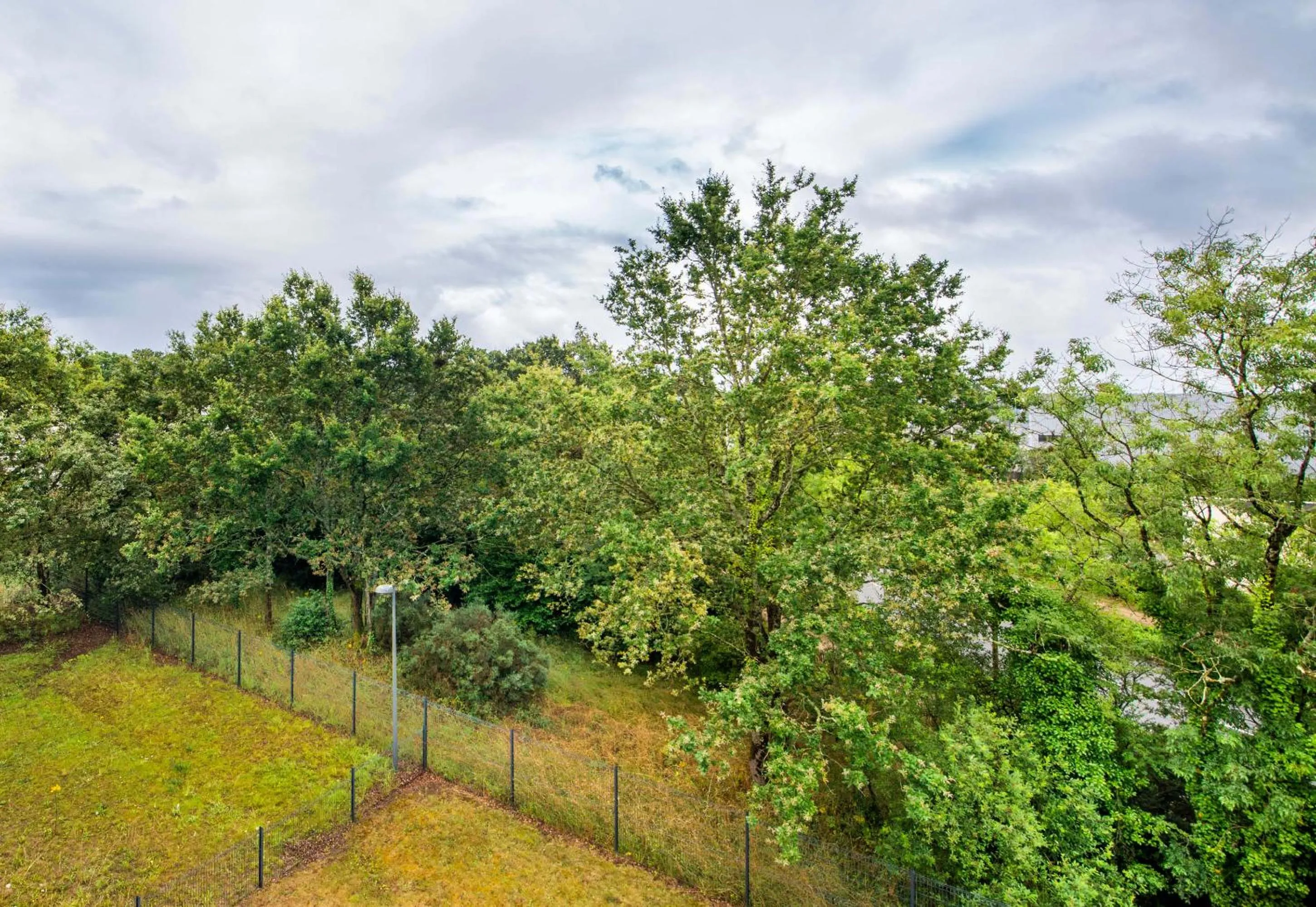 Natural landscape in B&B HOTEL Nantes Savenay