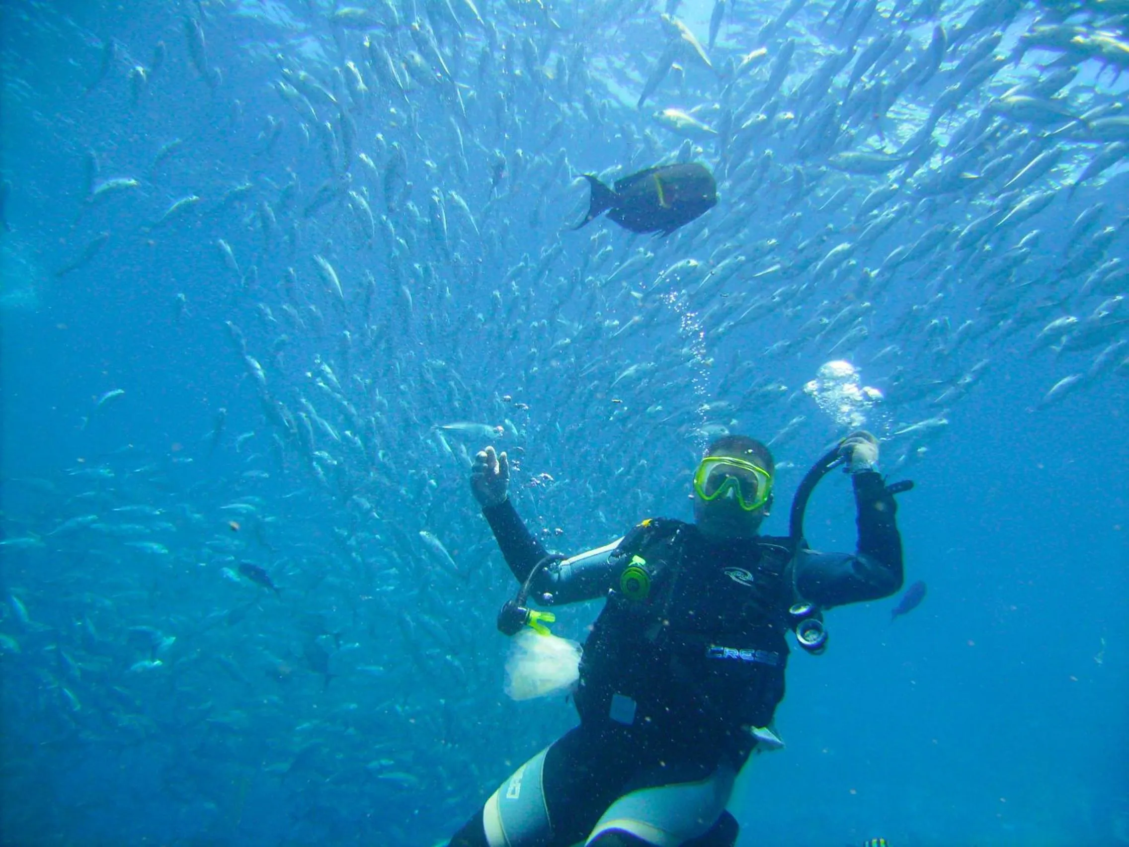 Diving in Puri Bagus Candidasa