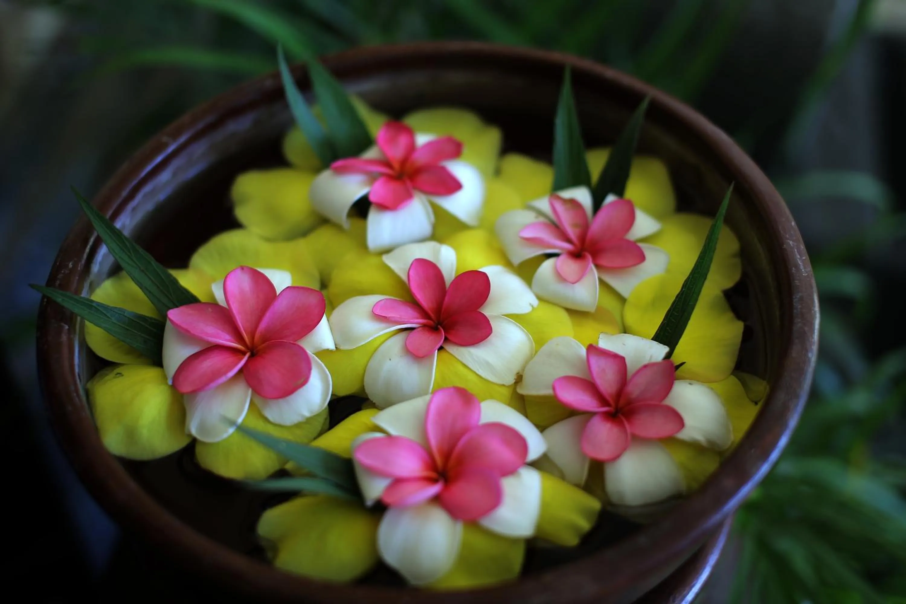 Massage in Holiday Resort Lombok