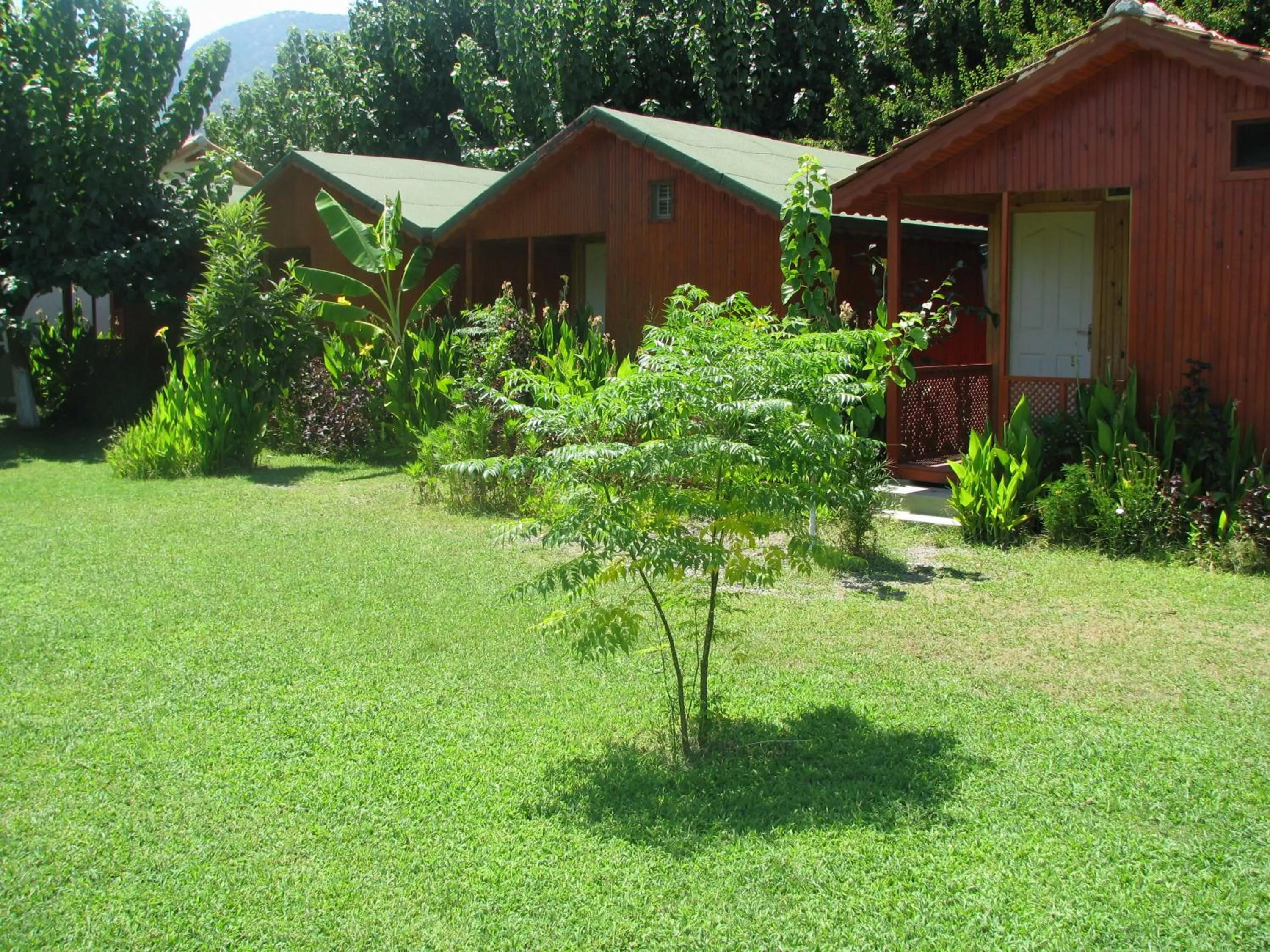 Garden in Alibaba Pension