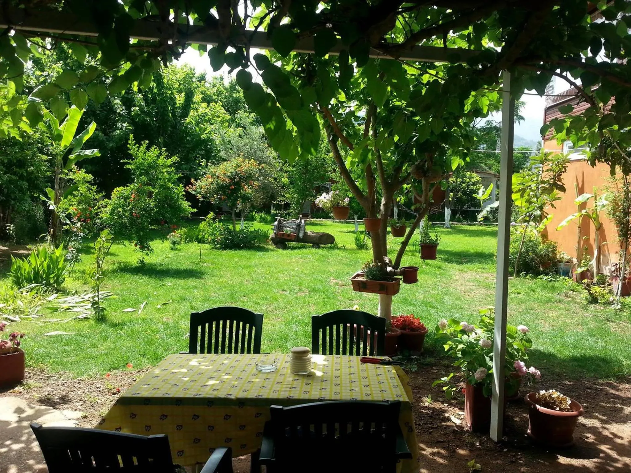 Garden in Alibaba Pension