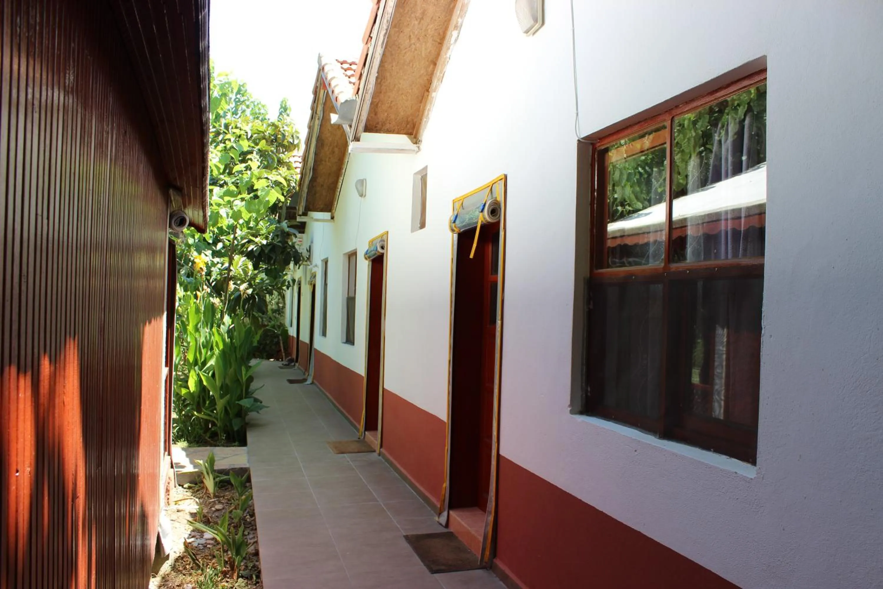 Balcony/Terrace in Alibaba Pension