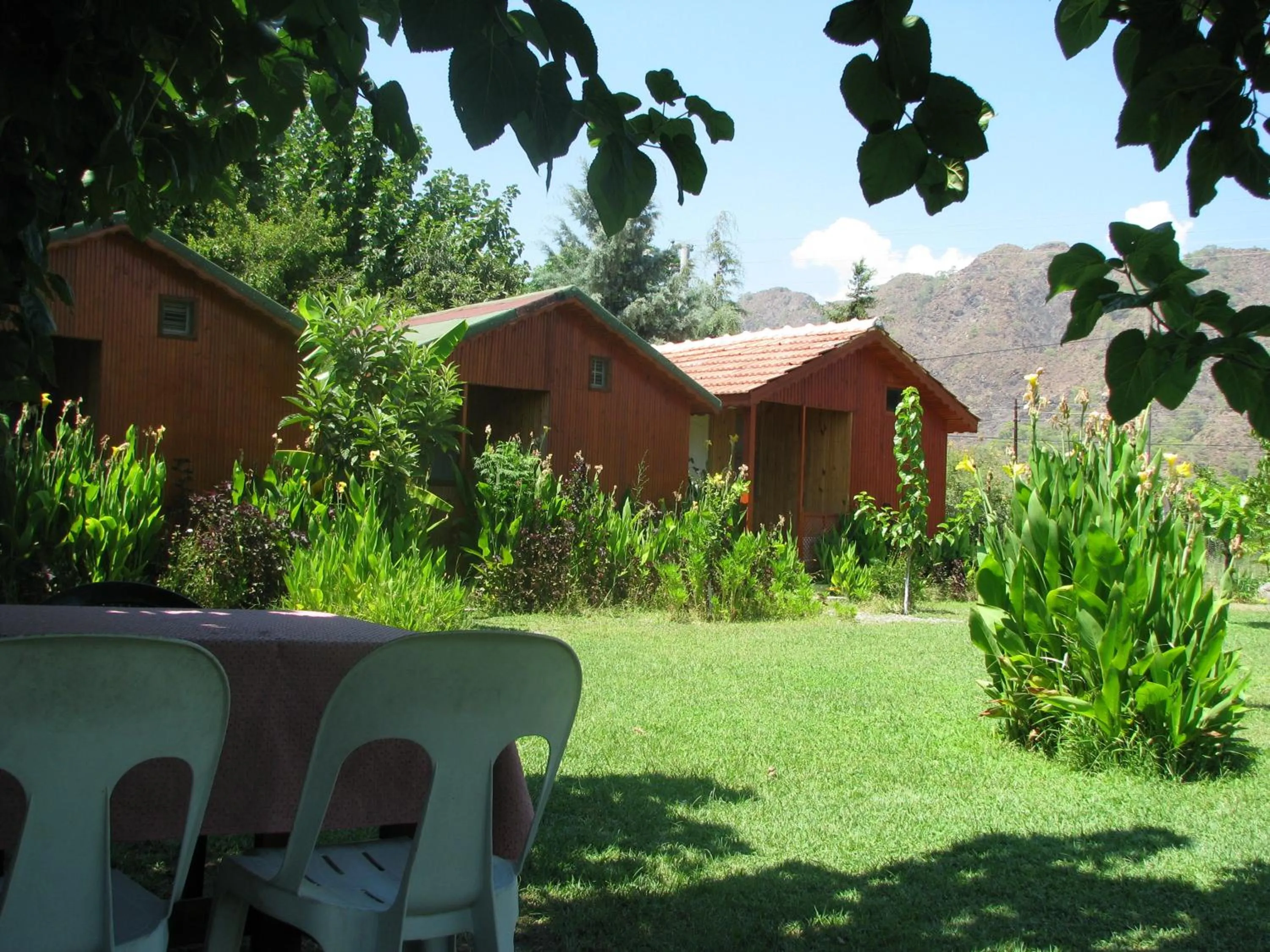 Day in Alibaba Pension