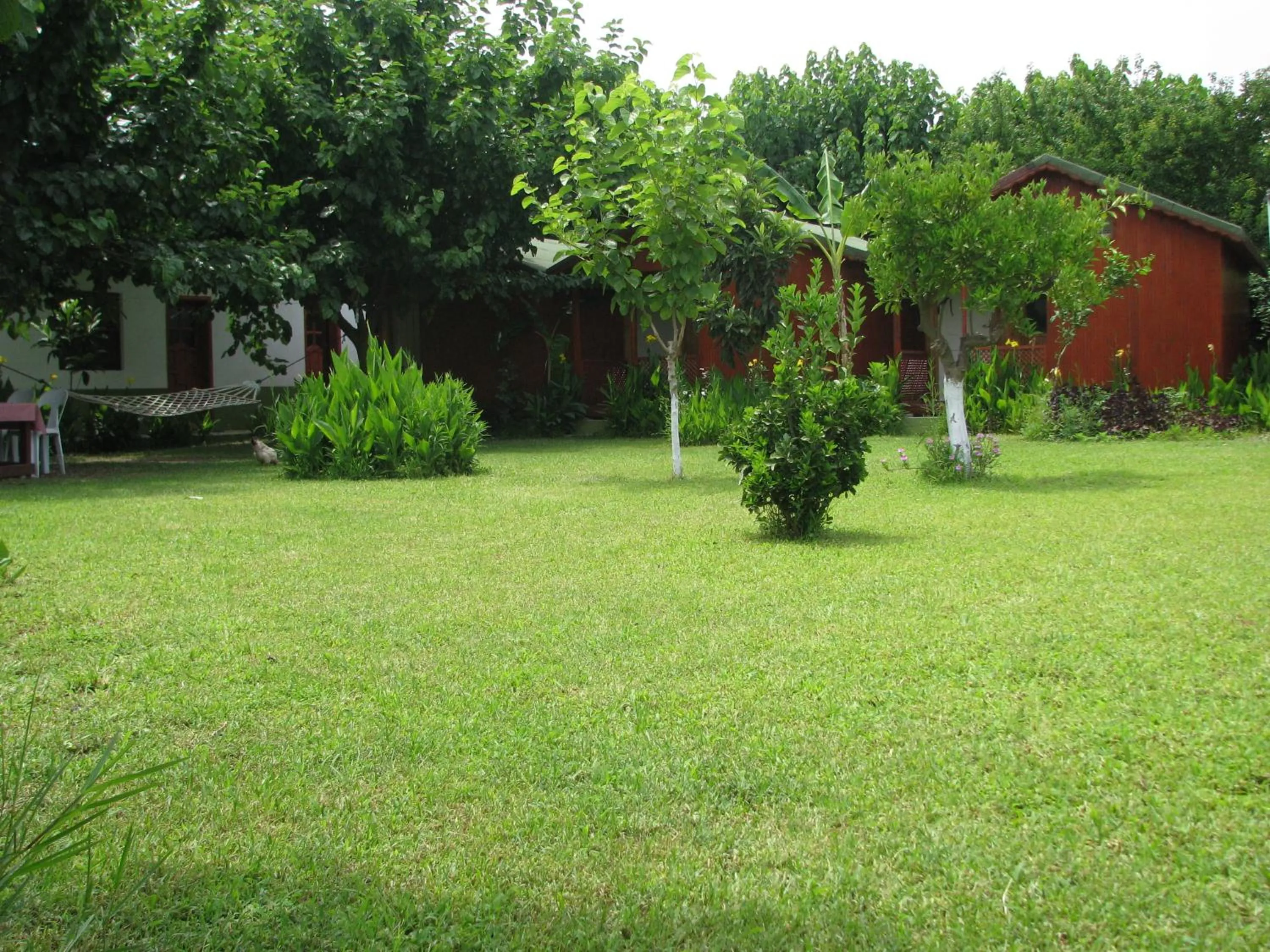 Garden in Alibaba Pension