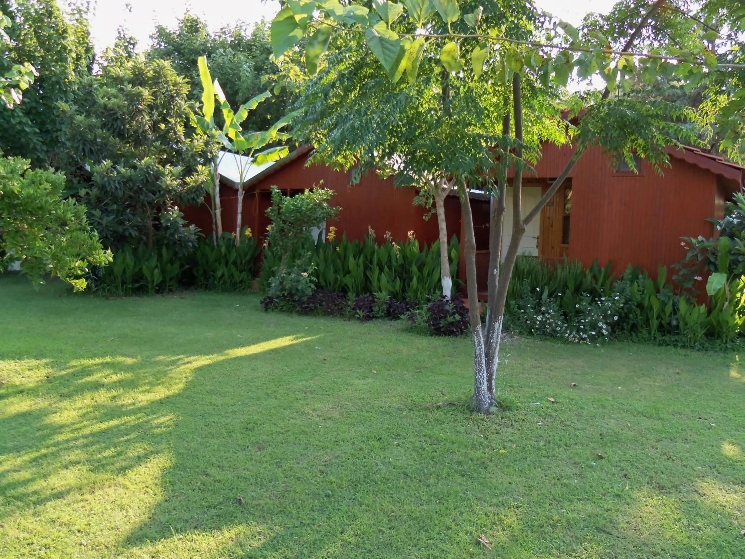 Garden in Alibaba Pension