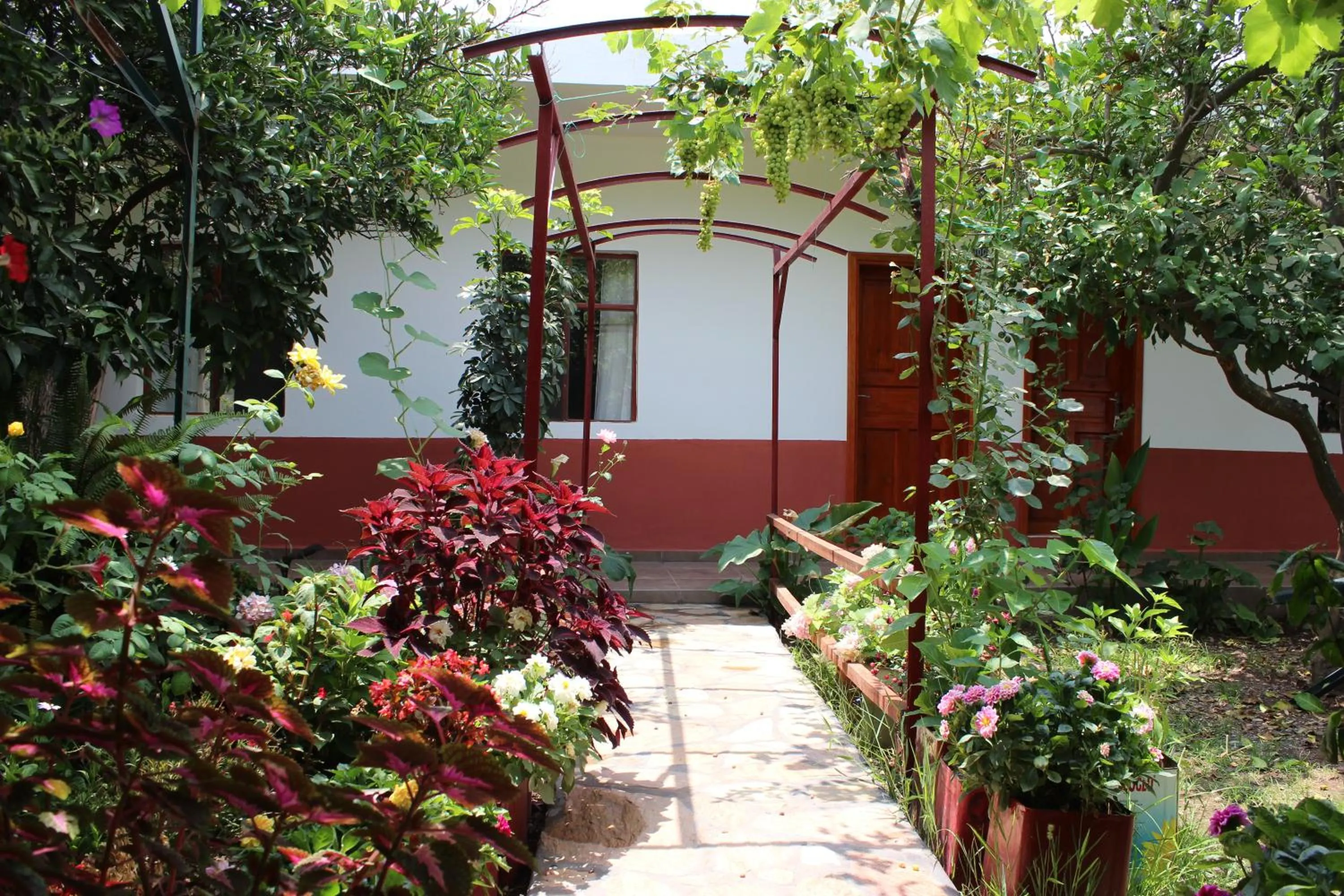 Garden in Alibaba Pension