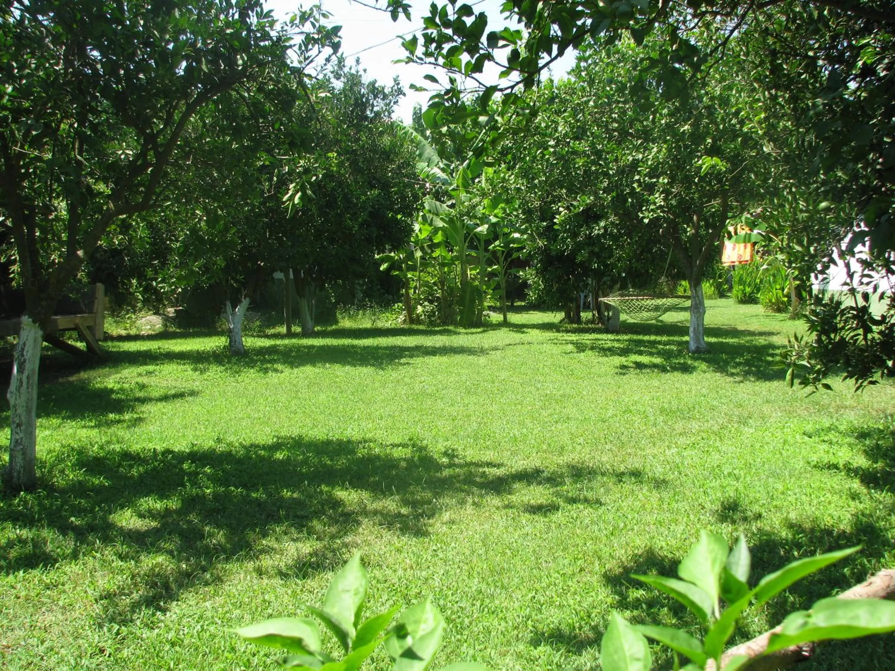 Garden in Alibaba Pension
