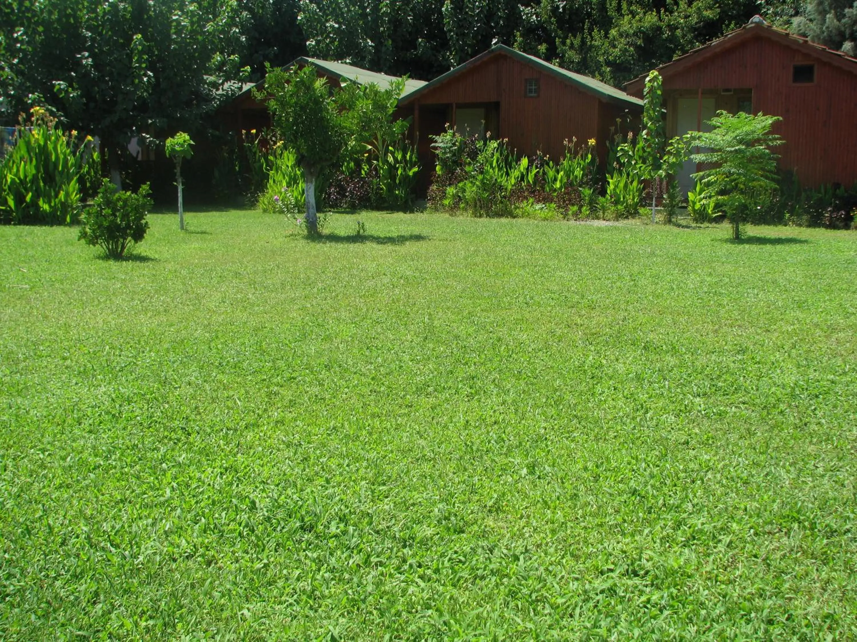 Garden in Alibaba Pension