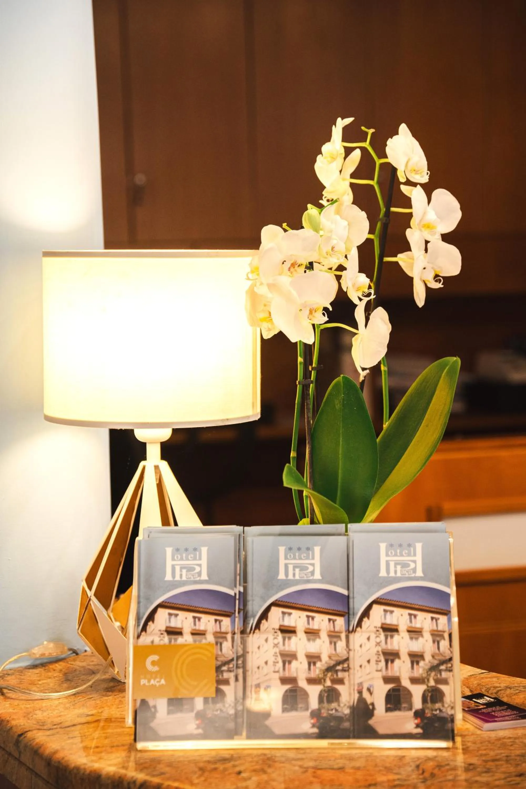 Lobby or reception in Hotel Plaça