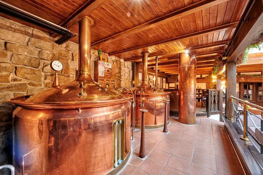 Restaurant/places to eat in Brauhaus Zum Löwen