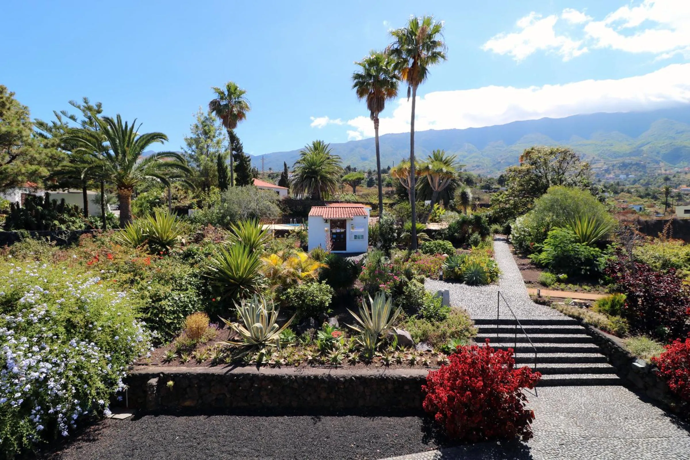 Spring in Apartamentos Miranda