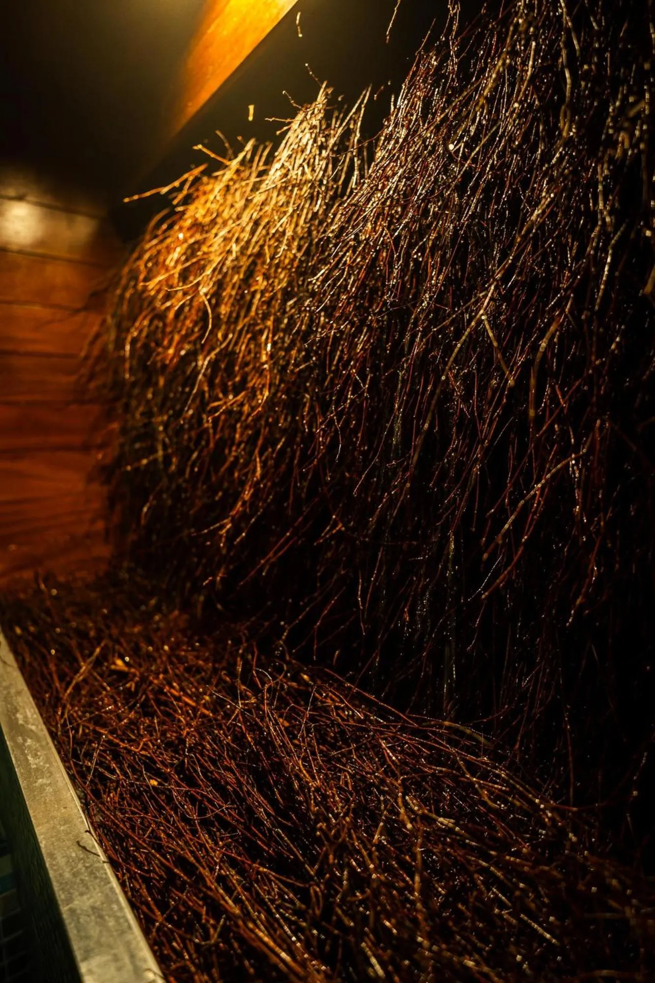 Sauna in Hotel Na Błoniach