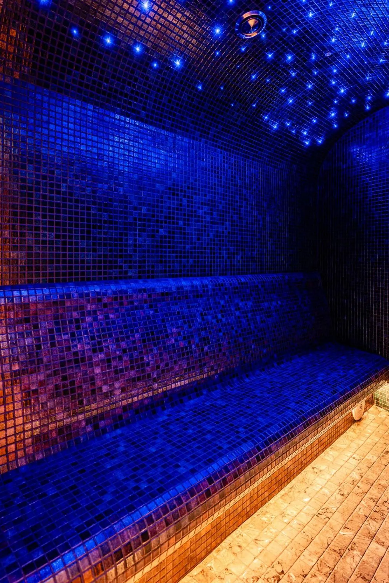 Sauna in Hotel Na Błoniach