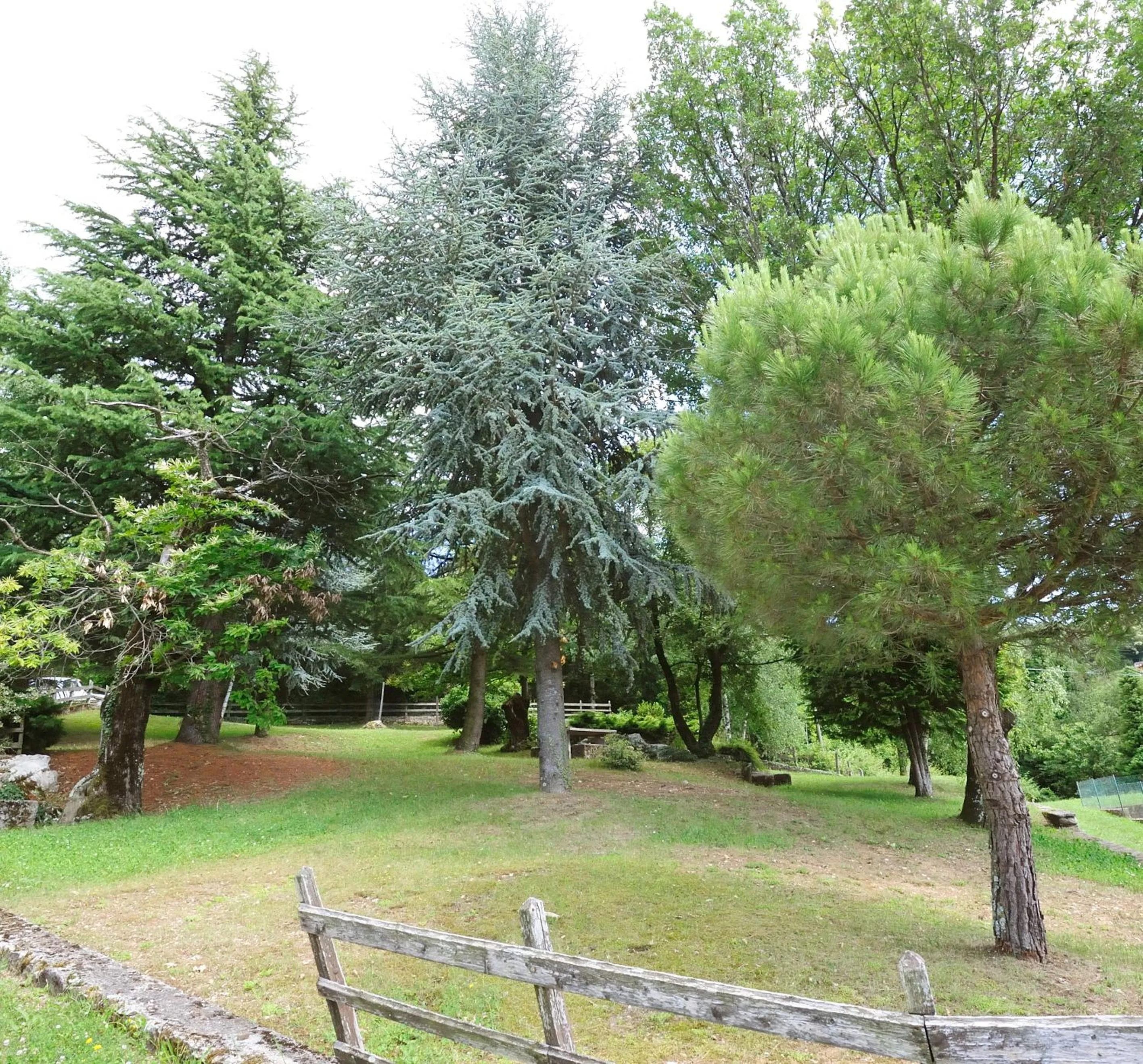 On site in Hotel San Remo