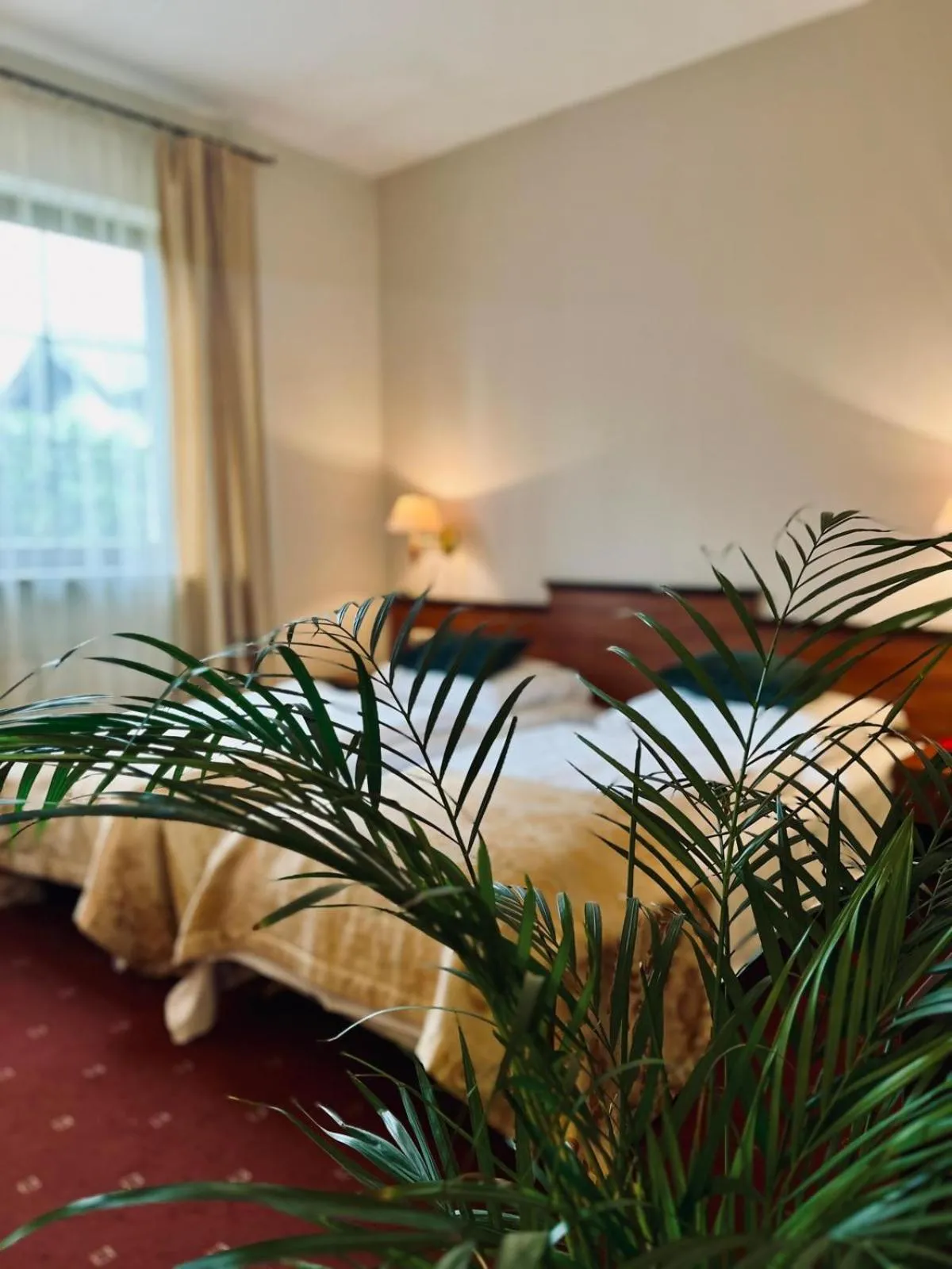 Gościniec Sucholeski