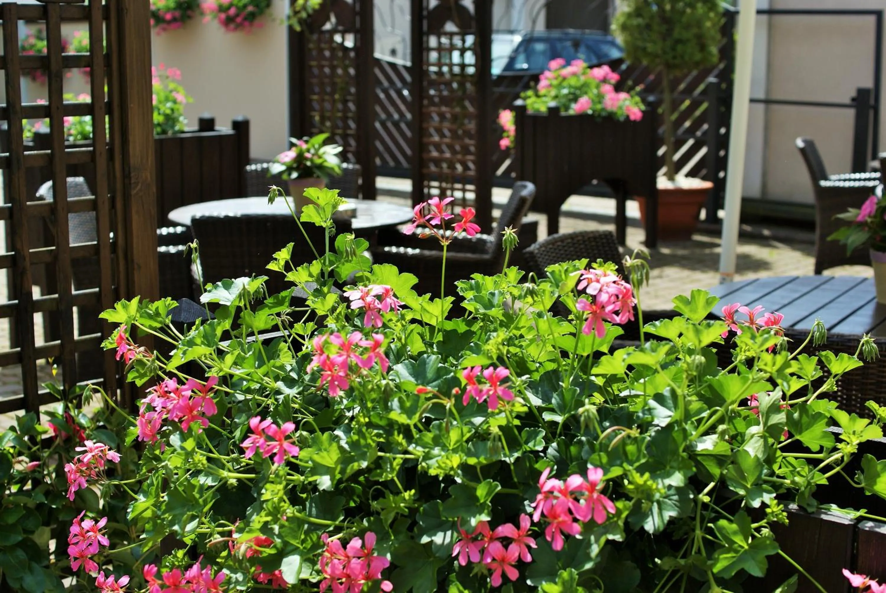 Gościniec Sucholeski