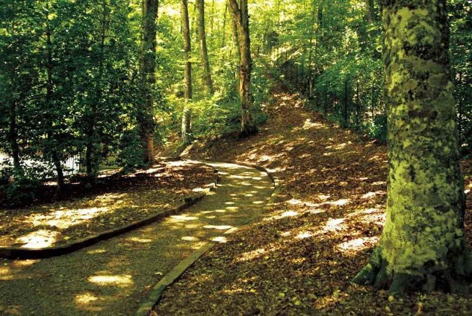 Day in Hotel Giubileo