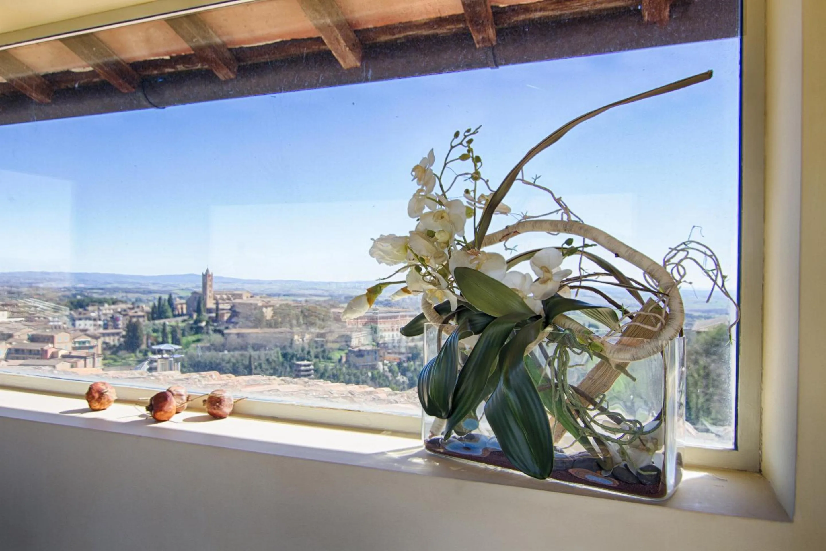 View (from property/room) in Rinidia - Siena Centro
