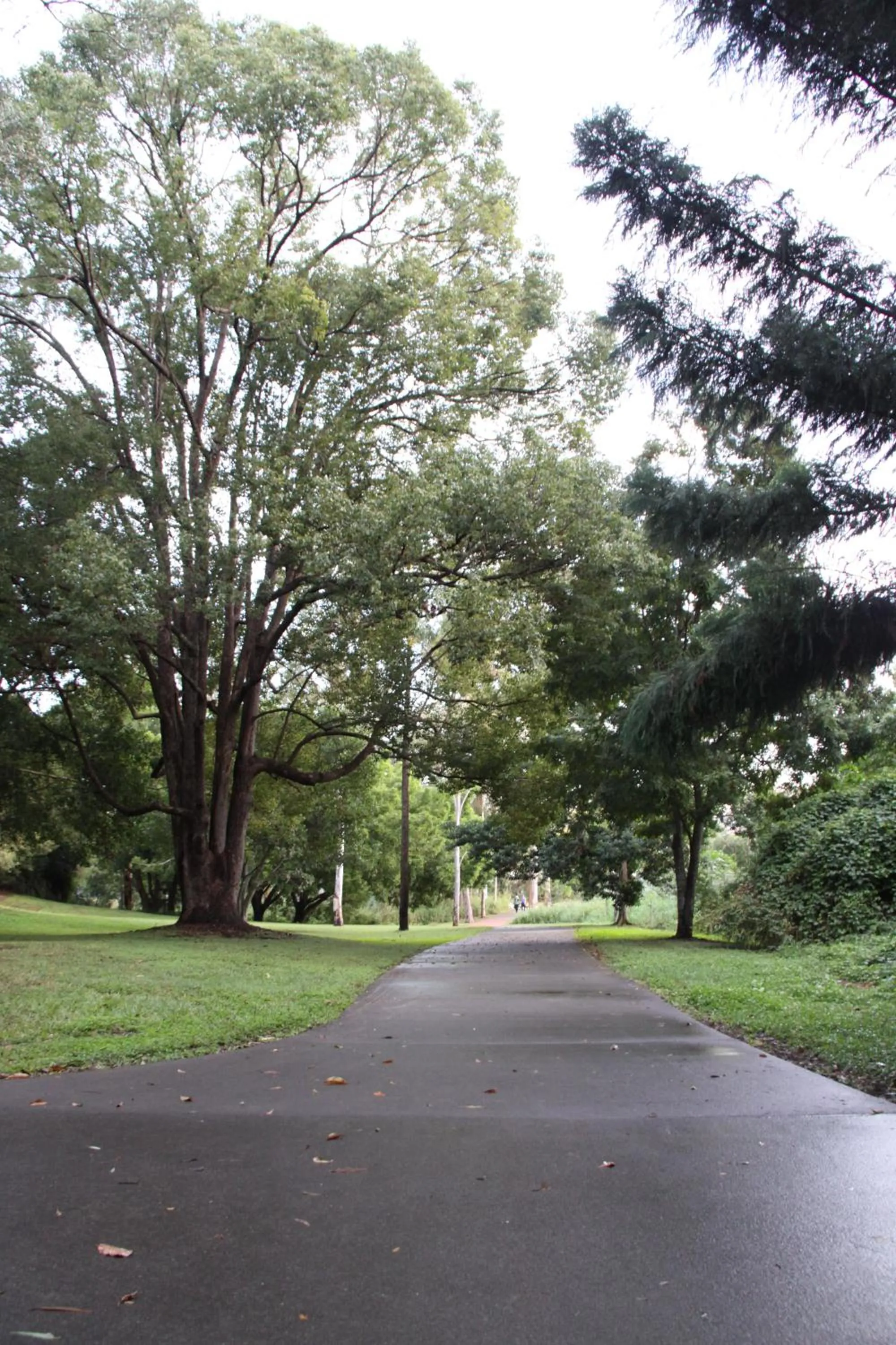 Natural landscape in Paperbark Bed & Breakfast