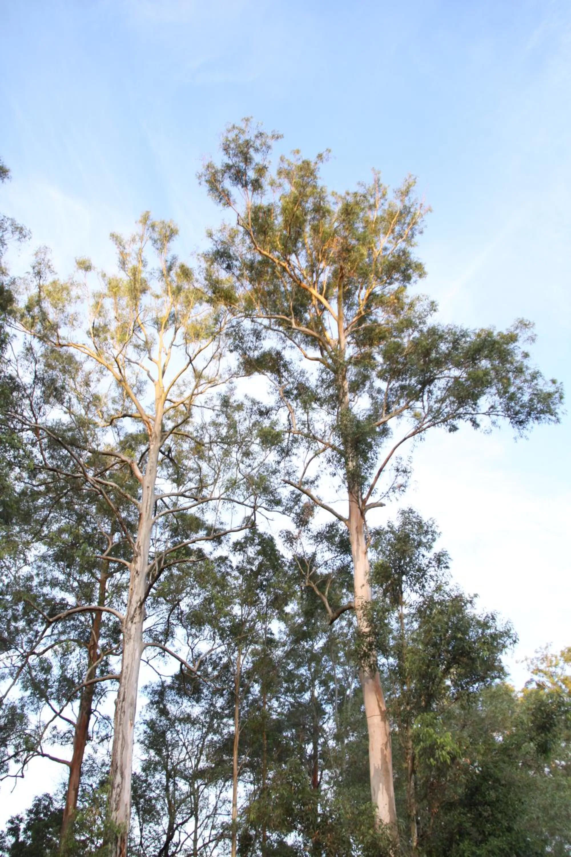 Hiking in Paperbark Bed & Breakfast