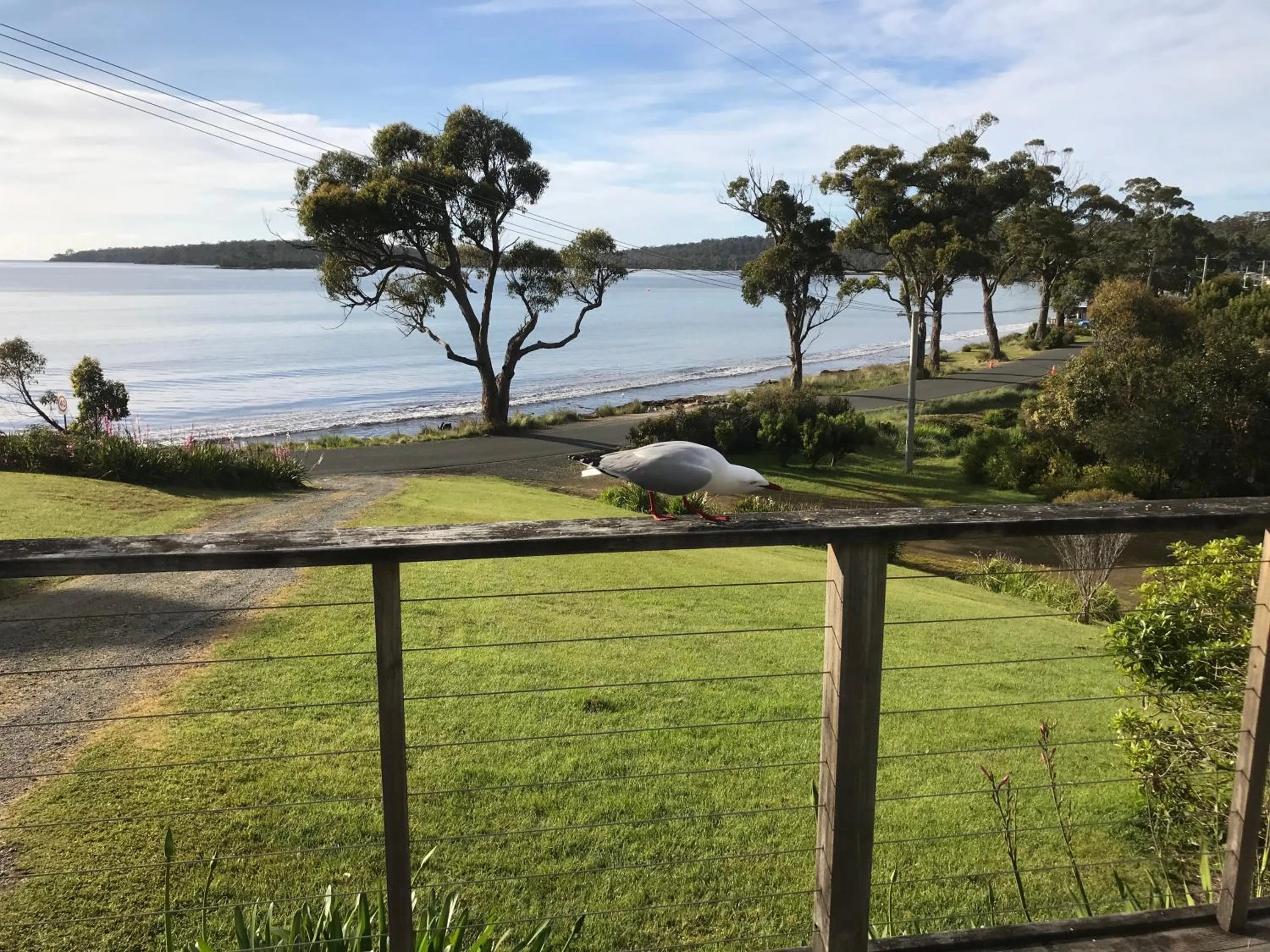 Sea view in Summertime Cottage