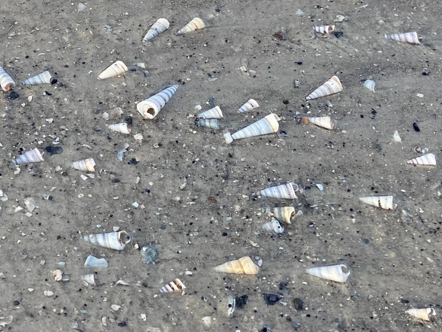 Other in Summertime Cottage