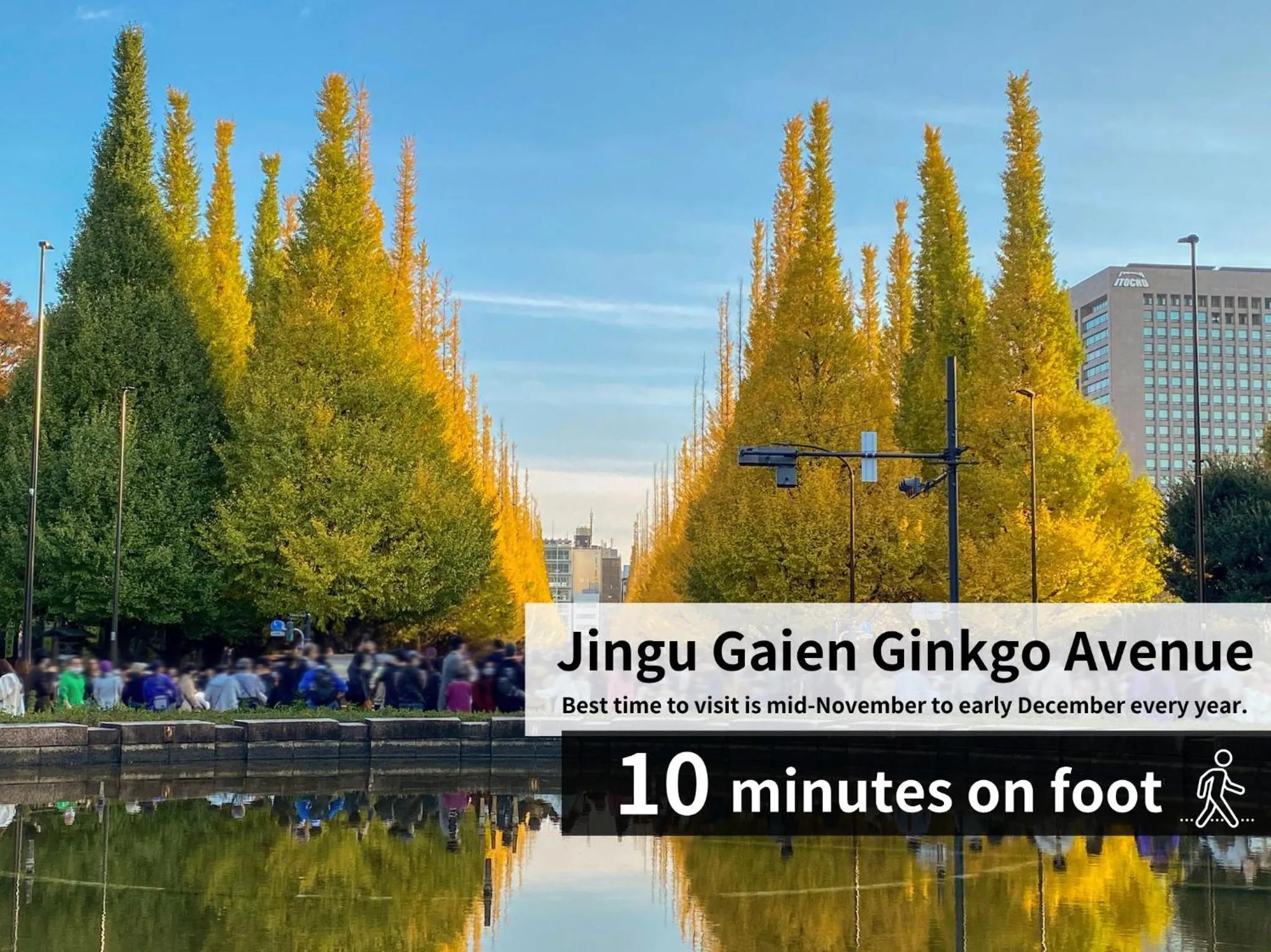 Nearby landmark in Hotel Allamanda Aoyama Tokyo