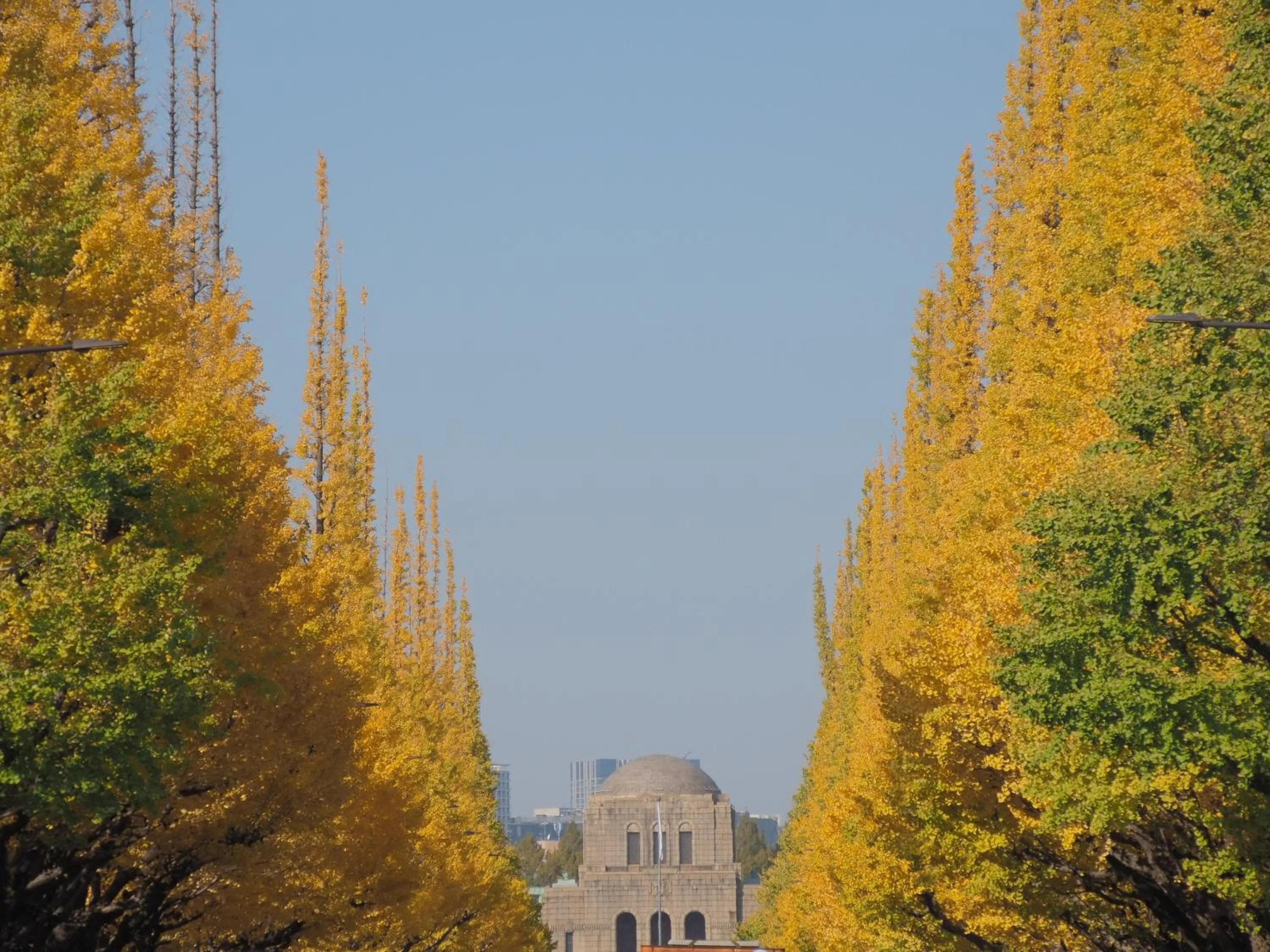 Nearby landmark in Hotel Allamanda Aoyama Tokyo