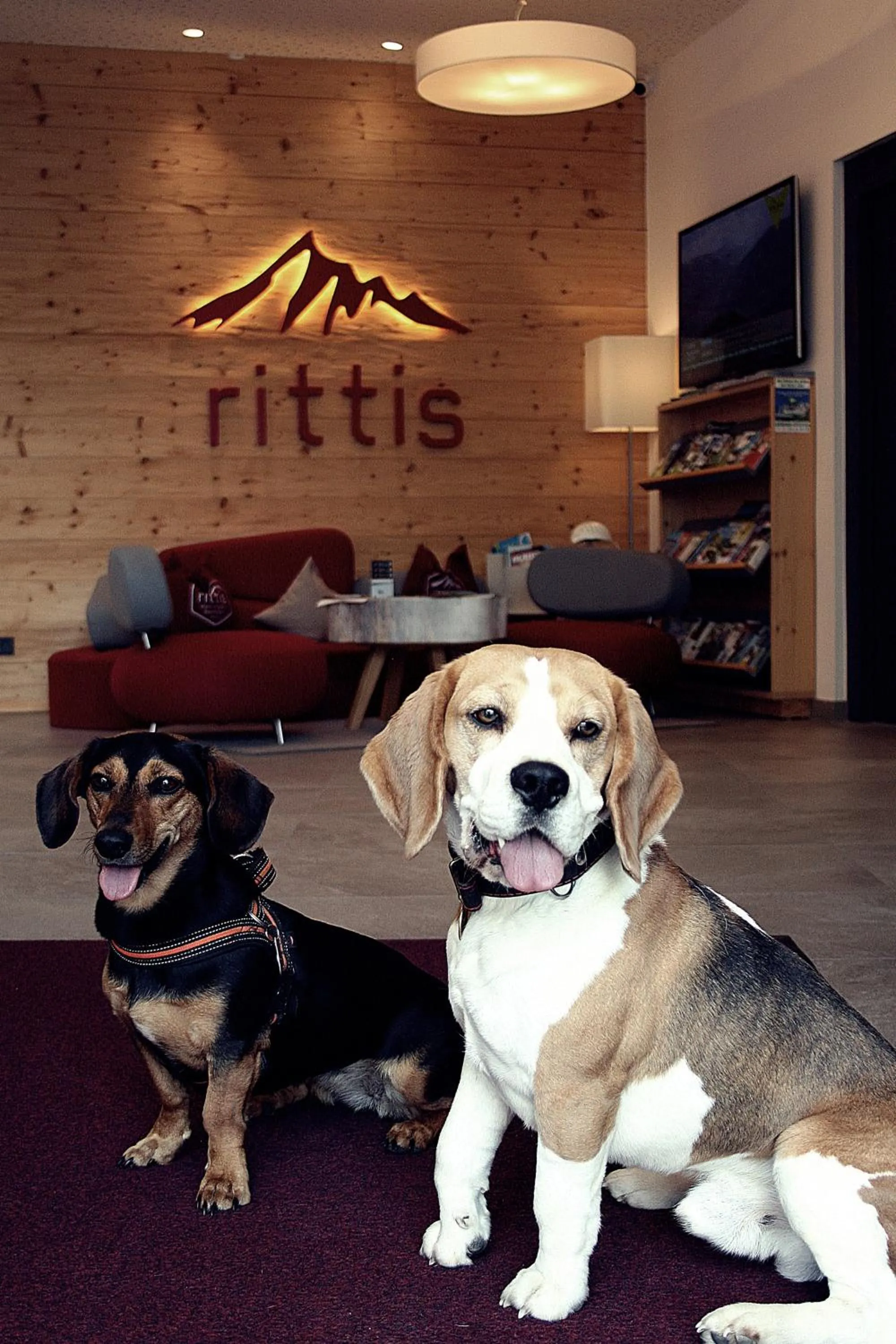 Property building in Rittis Alpin Chalets Dachstein
