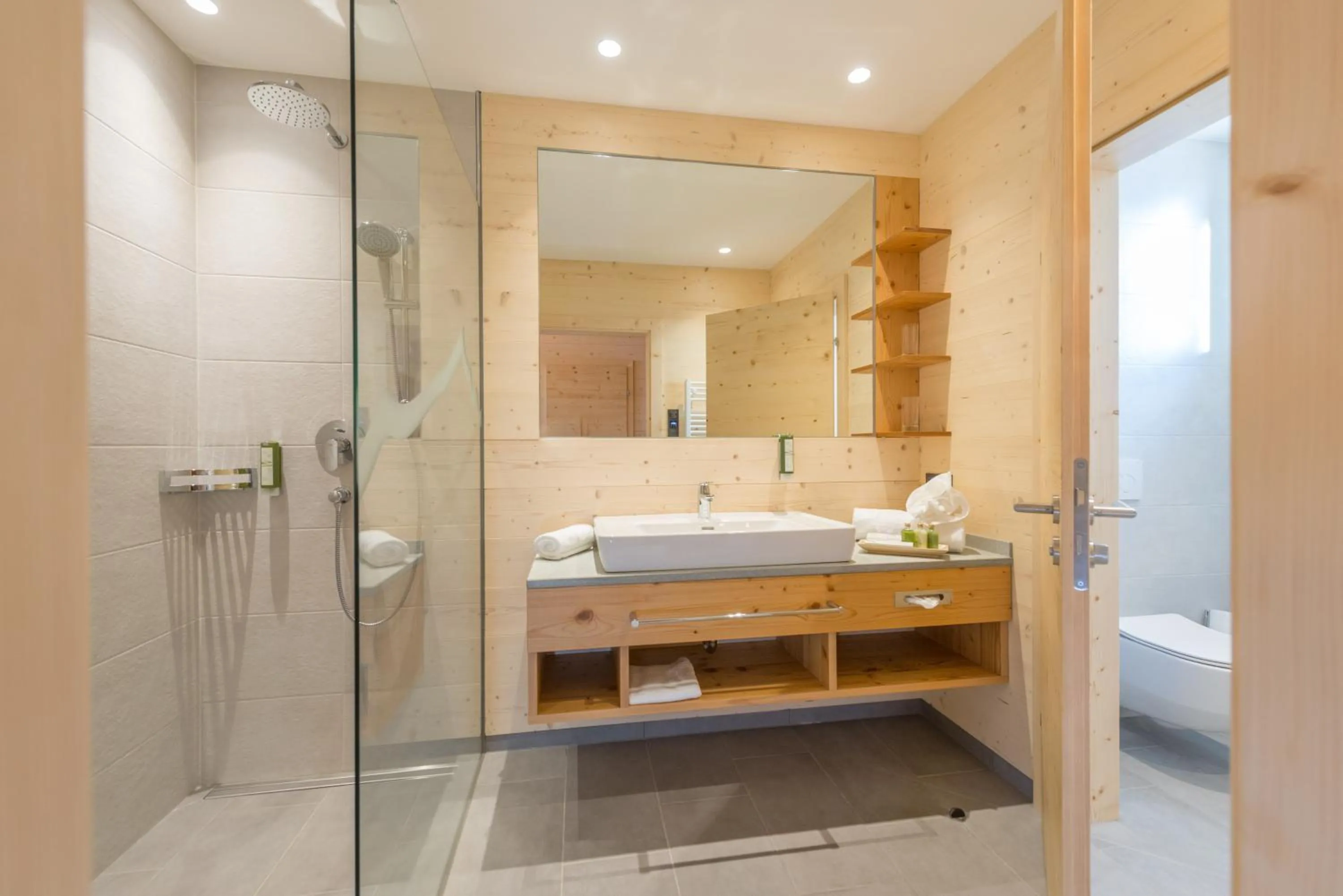 Toilet in Rittis Alpin Chalets Dachstein