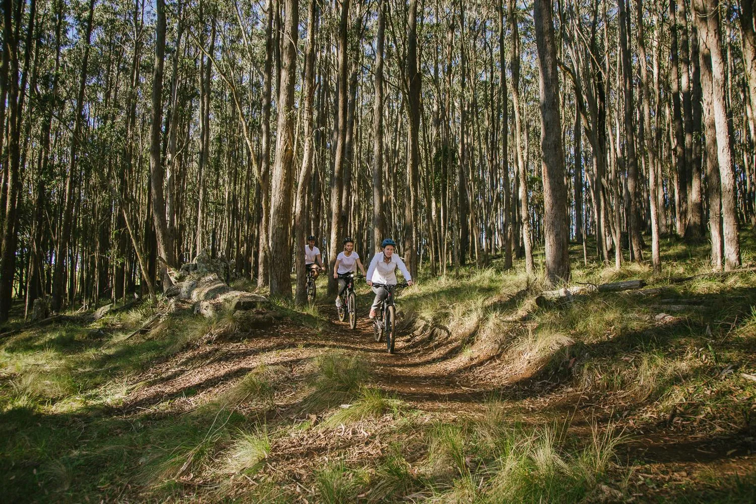 Activities in Spicers Peak Lodge