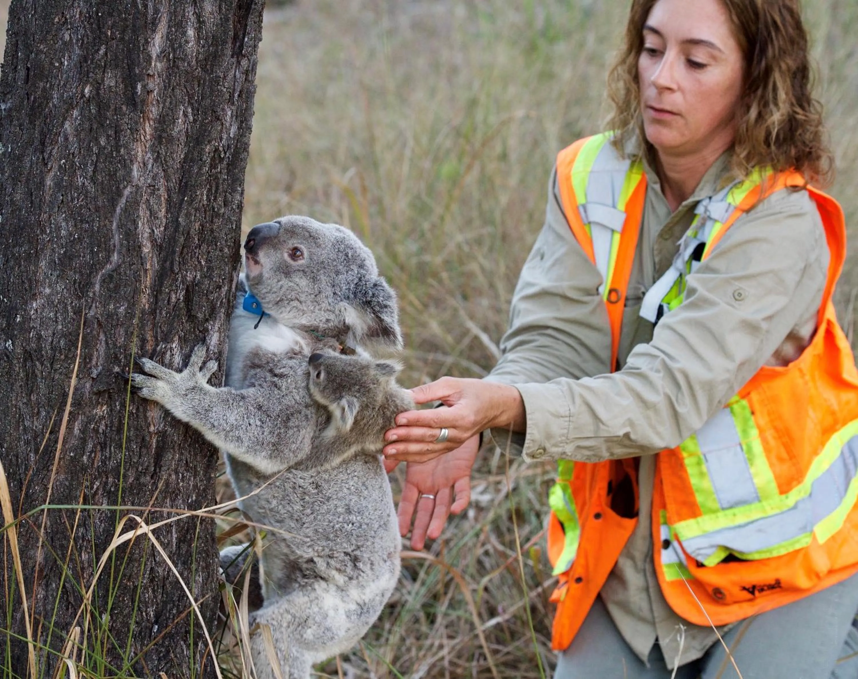 Activities in Spicers Hidden Vale