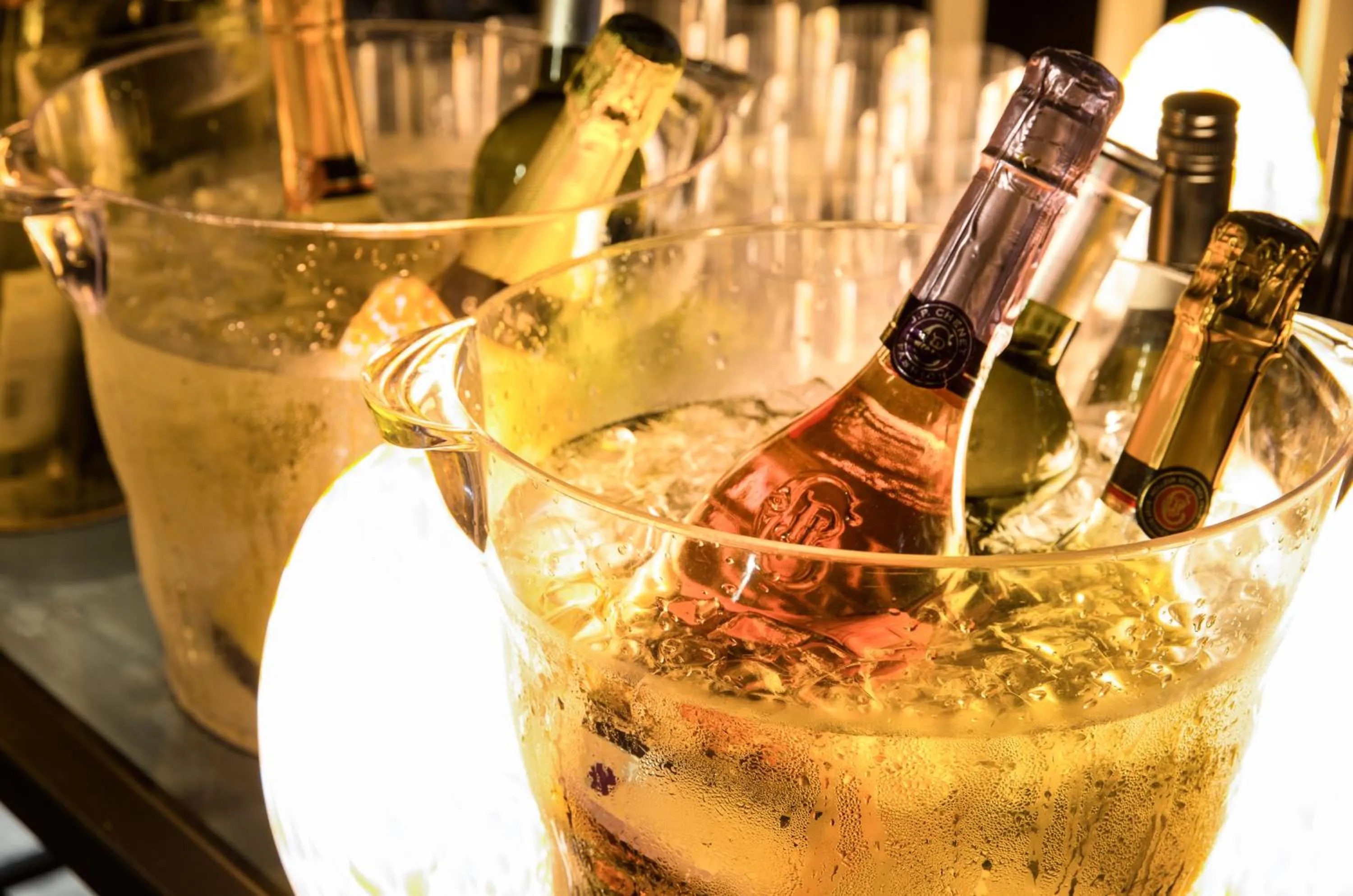 Alcoholic drinks in Hidden Cliff Hotel and Nature