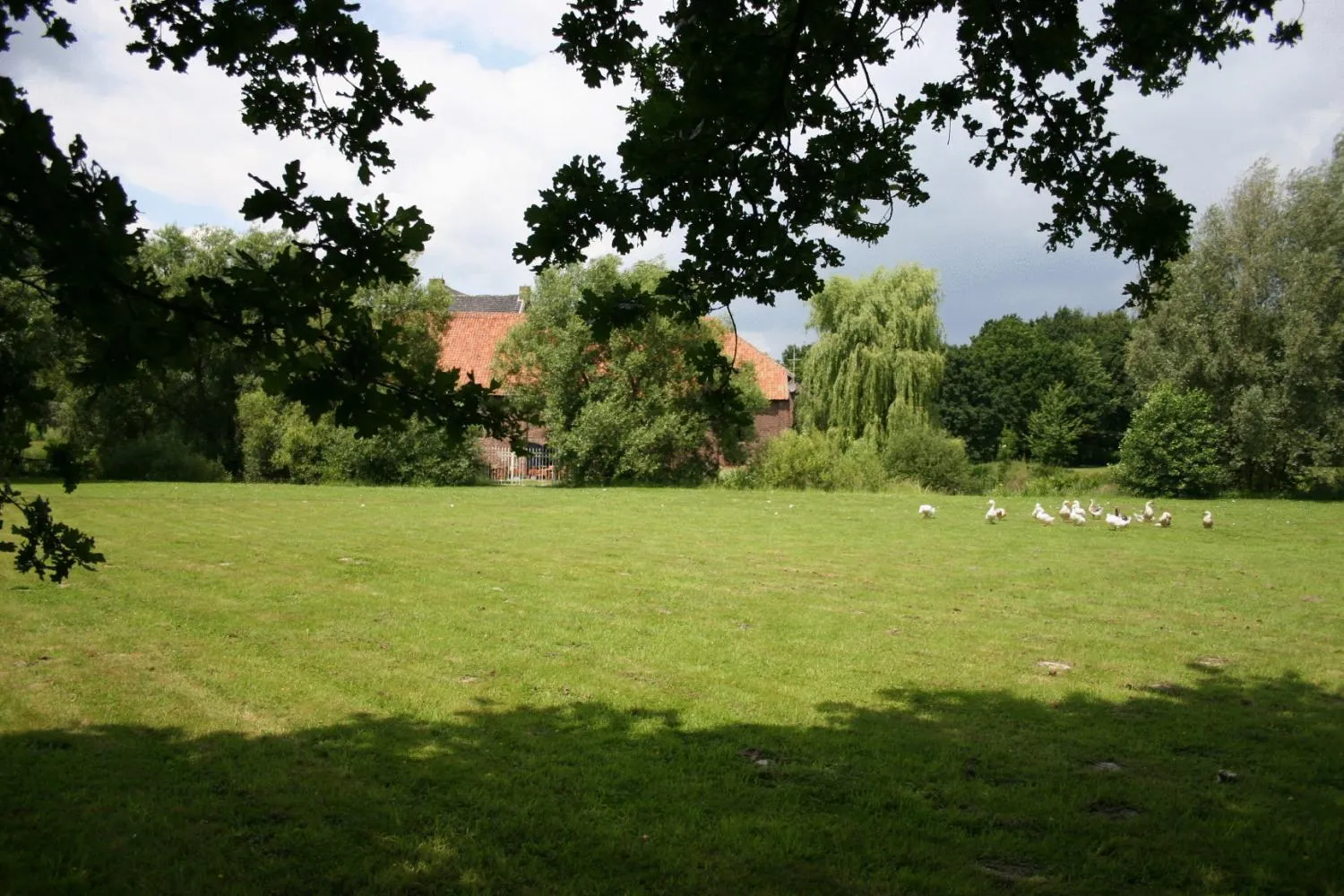 Natural landscape in Hotel Schinvelder Hoeve