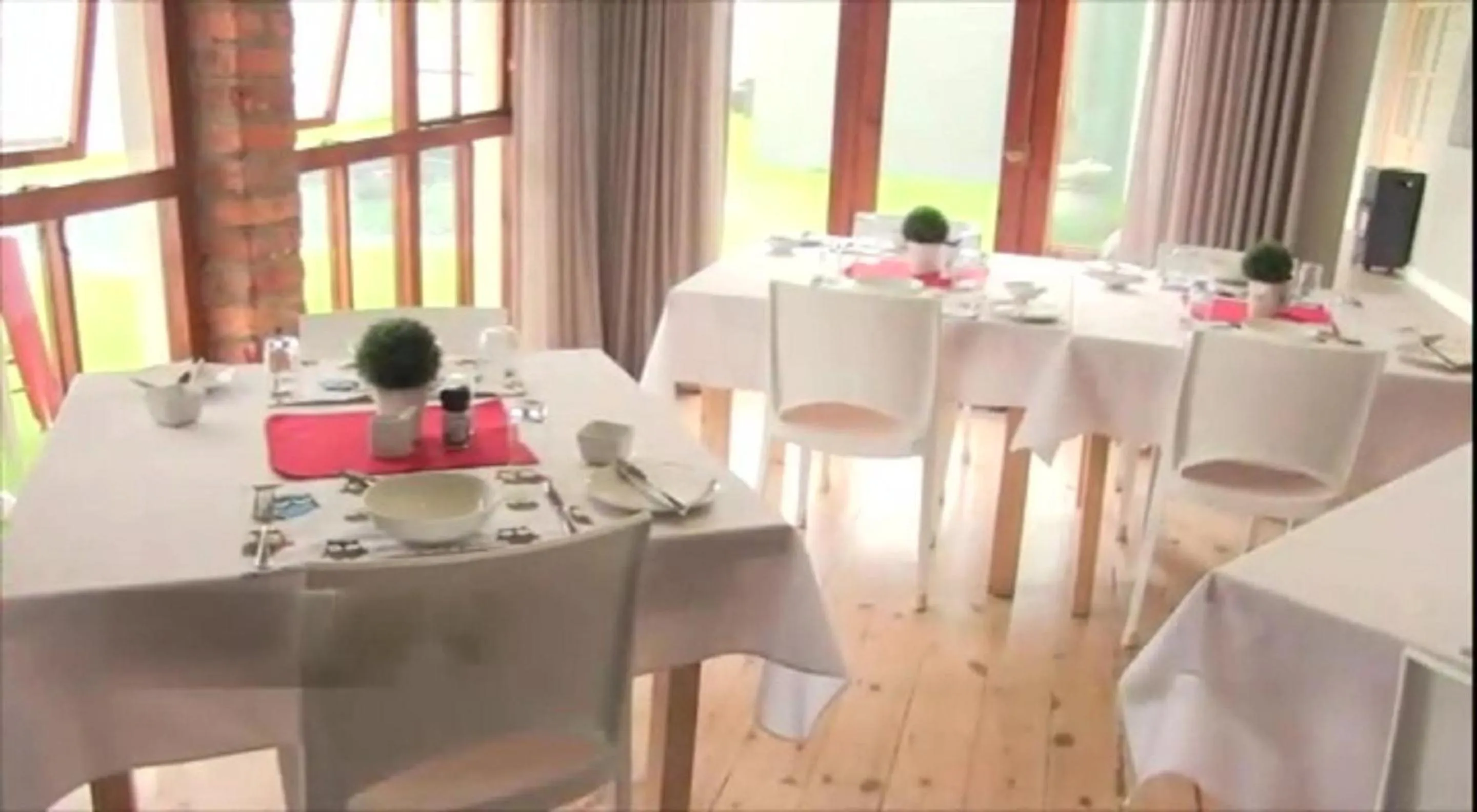 Area and facilities in Two Fat Owls Guesthouse