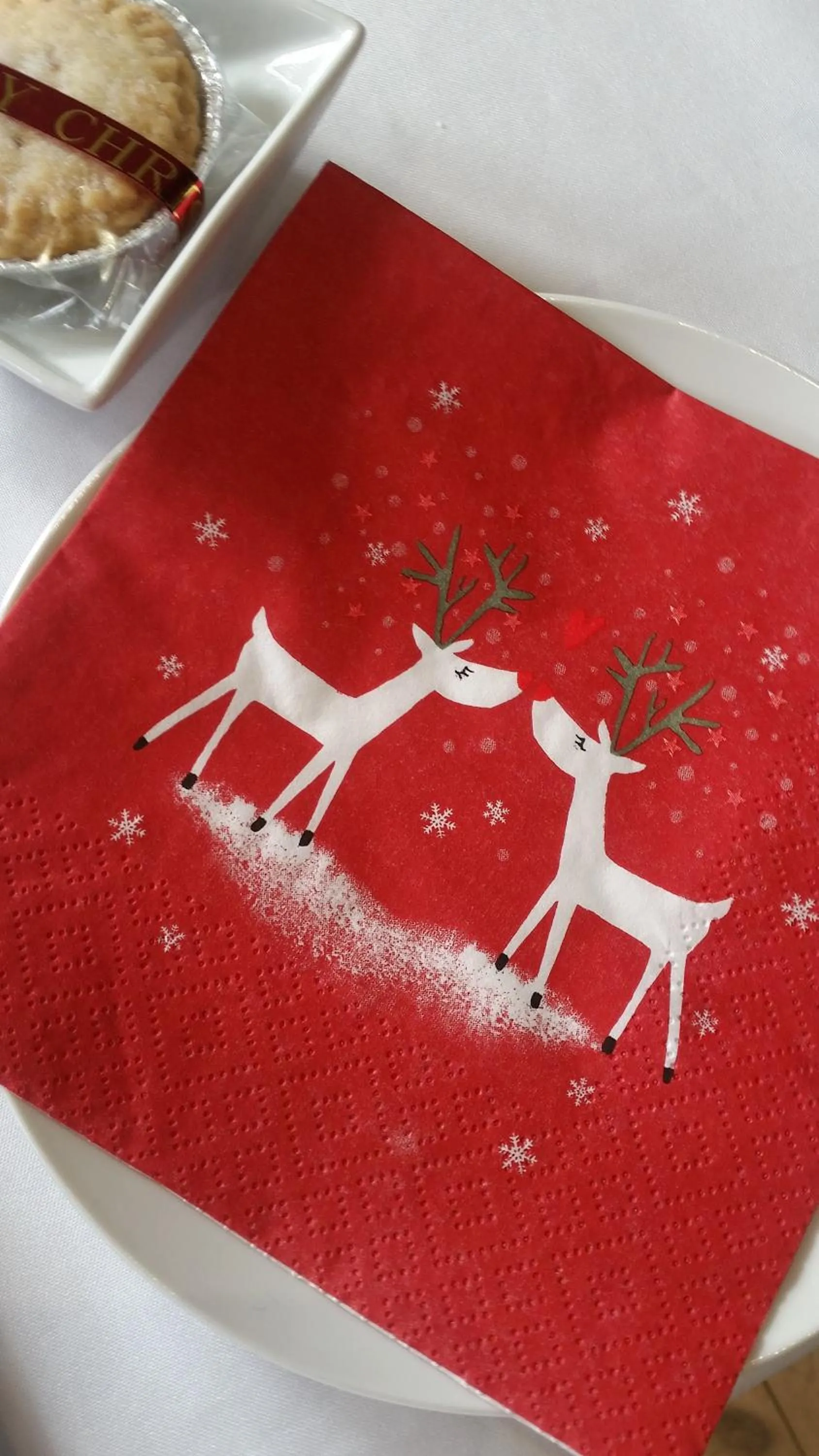 Summer in Two Fat Owls Guesthouse