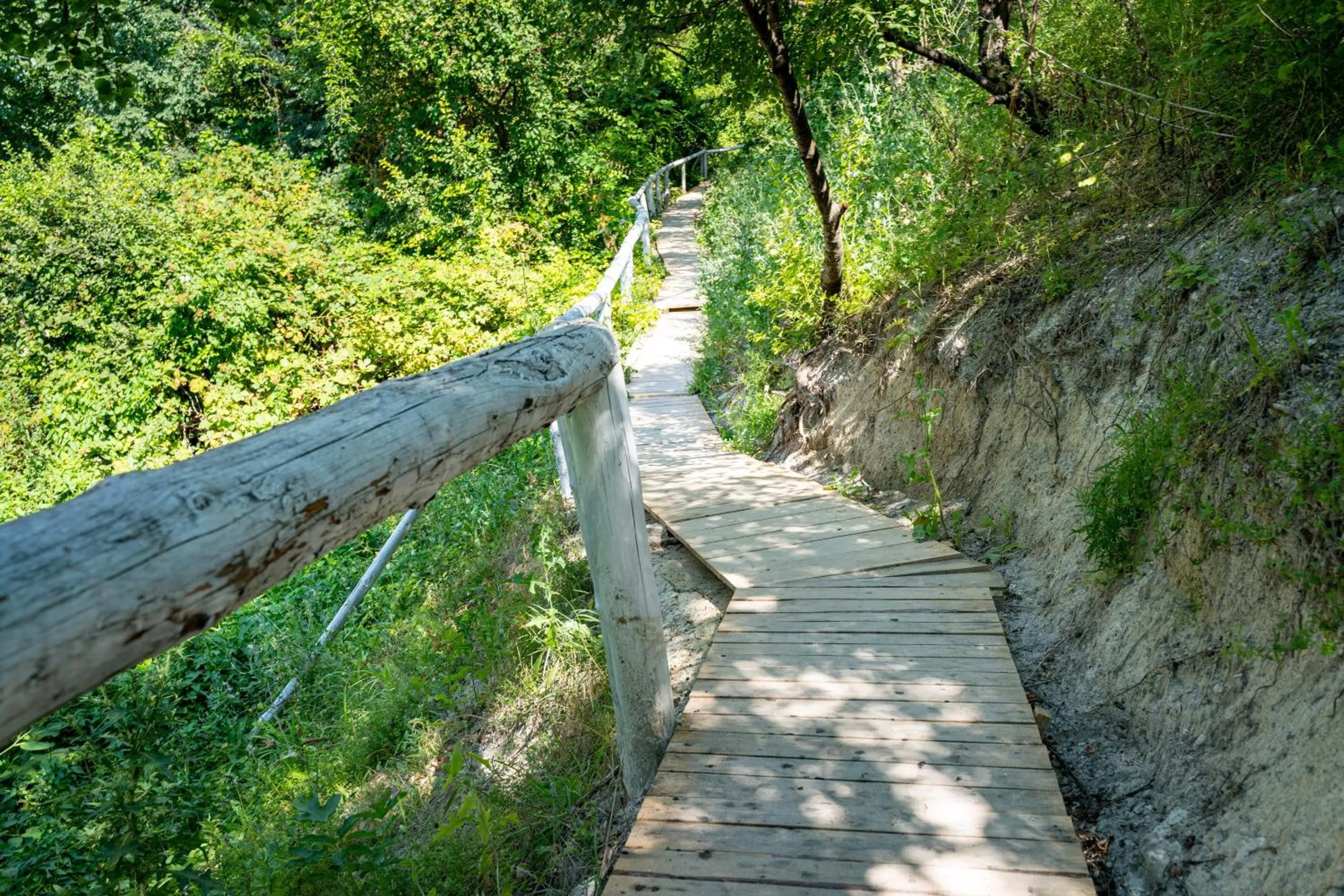Day in Topola Skies Resort & Aquapark