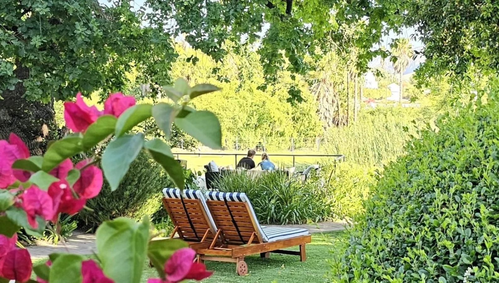 Balcony/Terrace in Montagu Vines Guesthouse