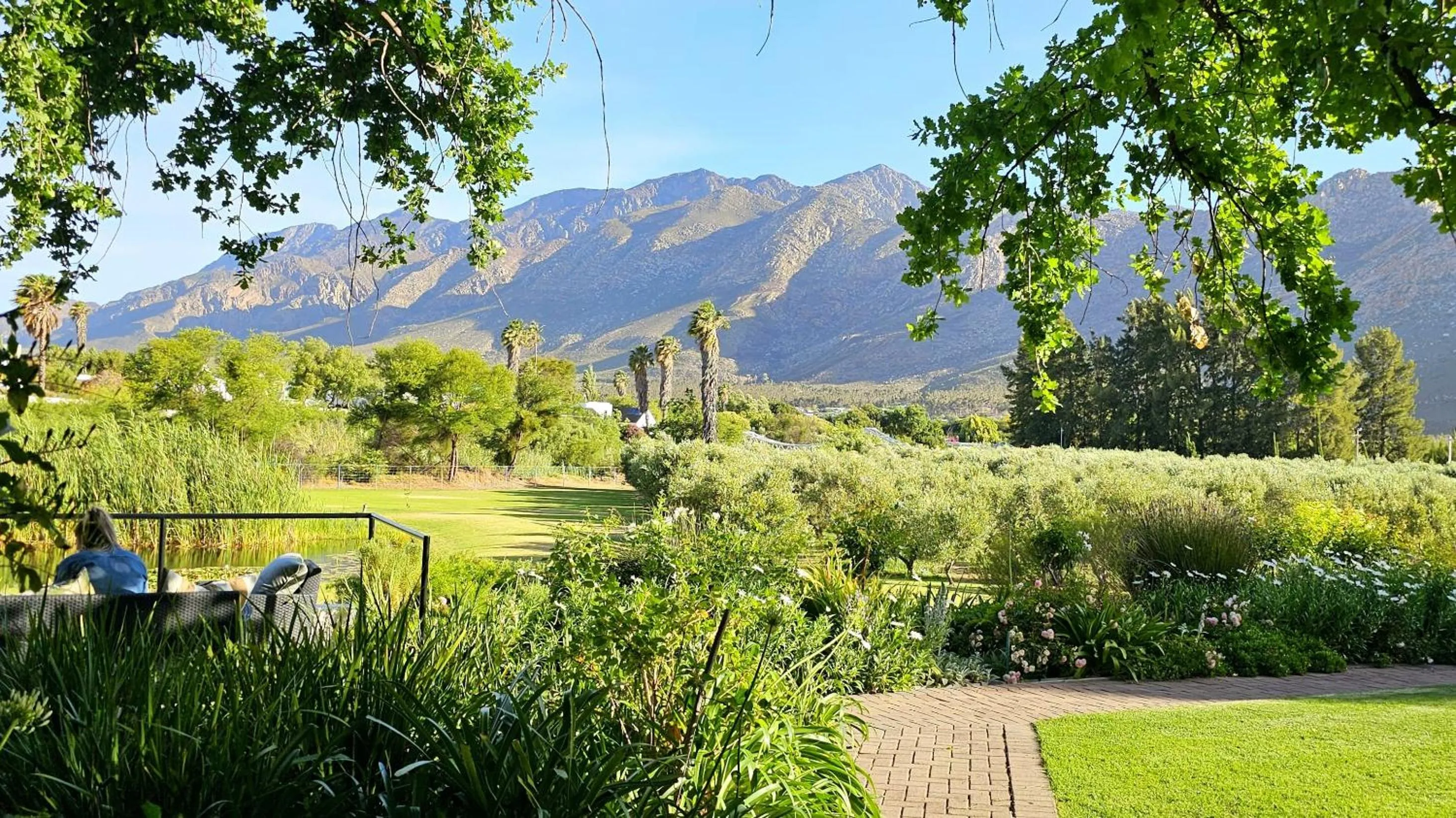 Garden in Montagu Vines Guesthouse