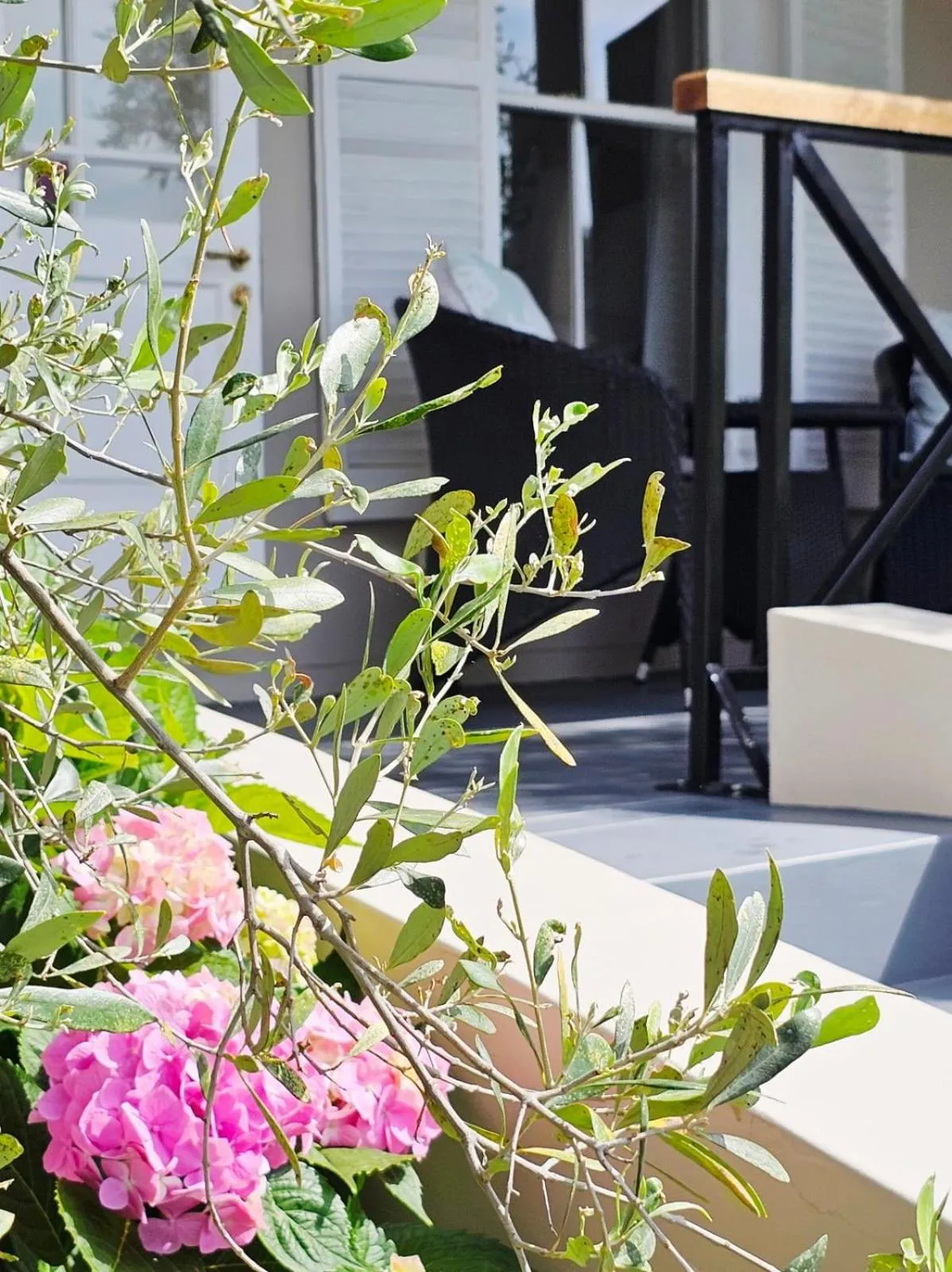 Balcony/Terrace in Montagu Vines Guesthouse