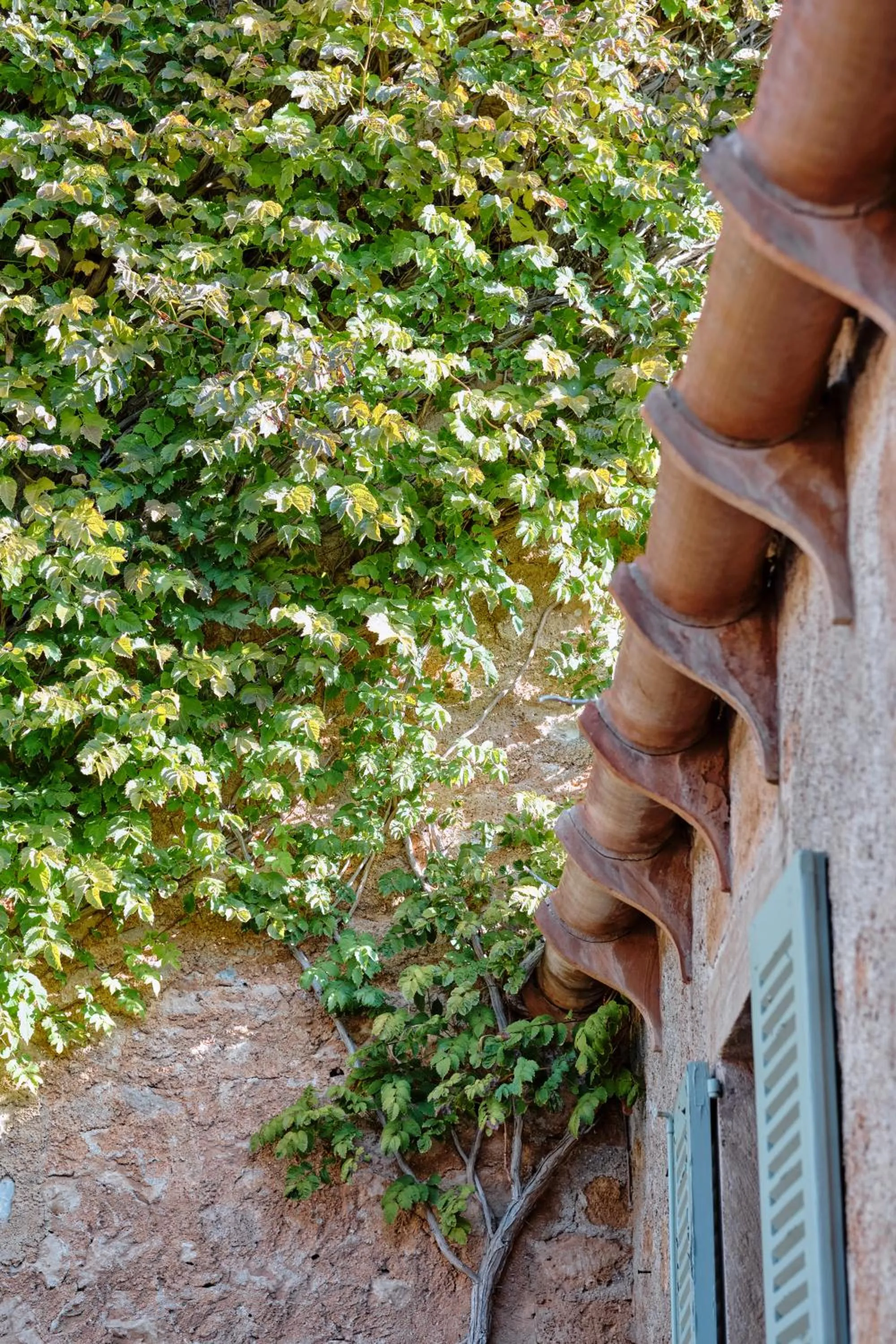 Can Simoneta - Adults Only