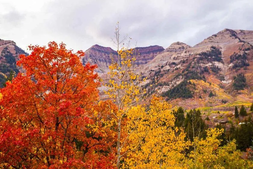 Natural landscape in Log Cabin On The Stream Sundance, Utah